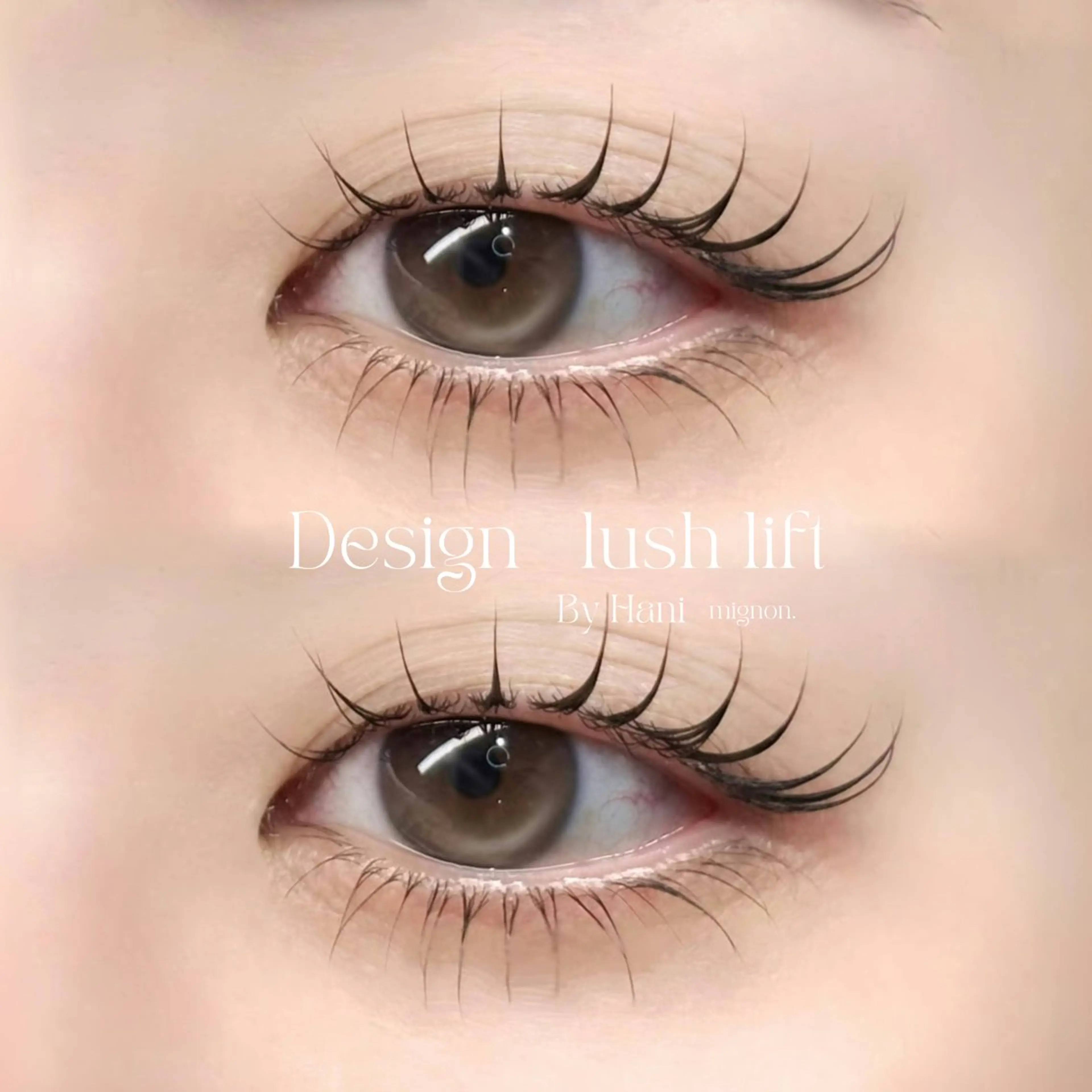 マツエク・マツパ まつげパーマ 下まつげエクステ 美容室FaB千葉店所属・Hani🌛 マツパ/アイブロウのマツエク・マツパデザイン