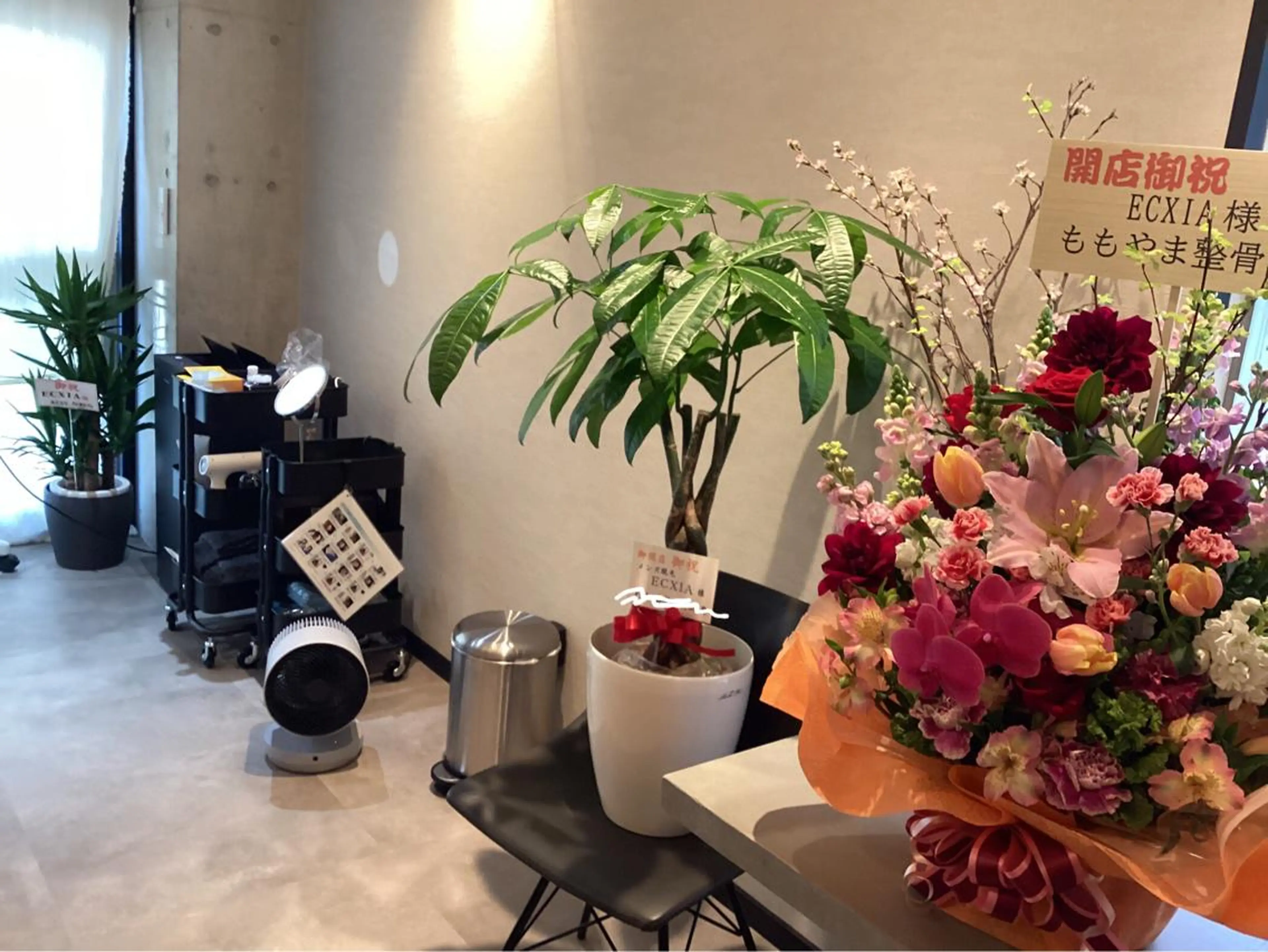 メンズ脱毛ECXIA所属・men's脱毛サロン ECXIAのエステ・リラクイメージ