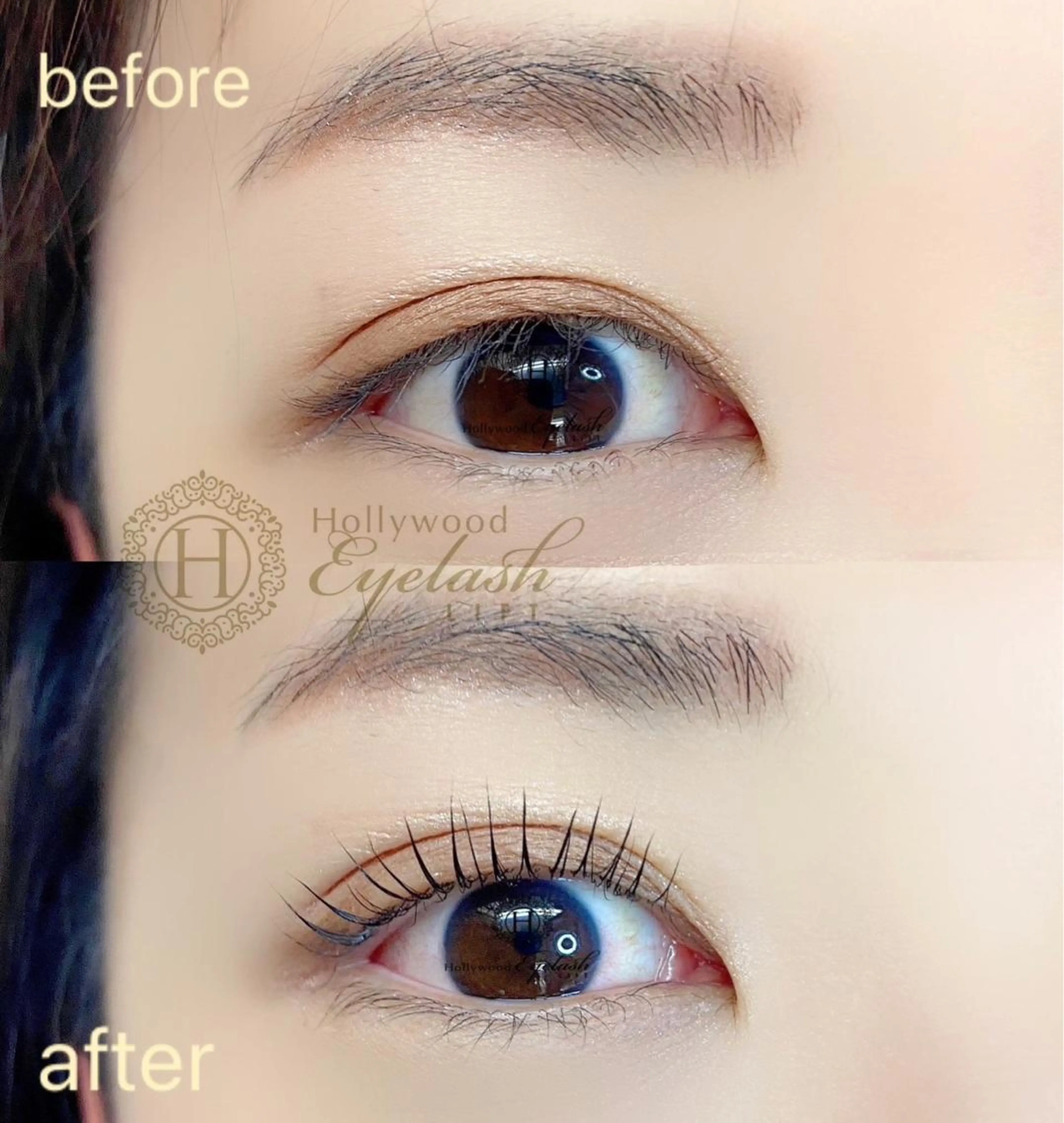 マツエク・マツパ ラッシュラッシュ👀 布施店の眉毛・アイブロウイメージ