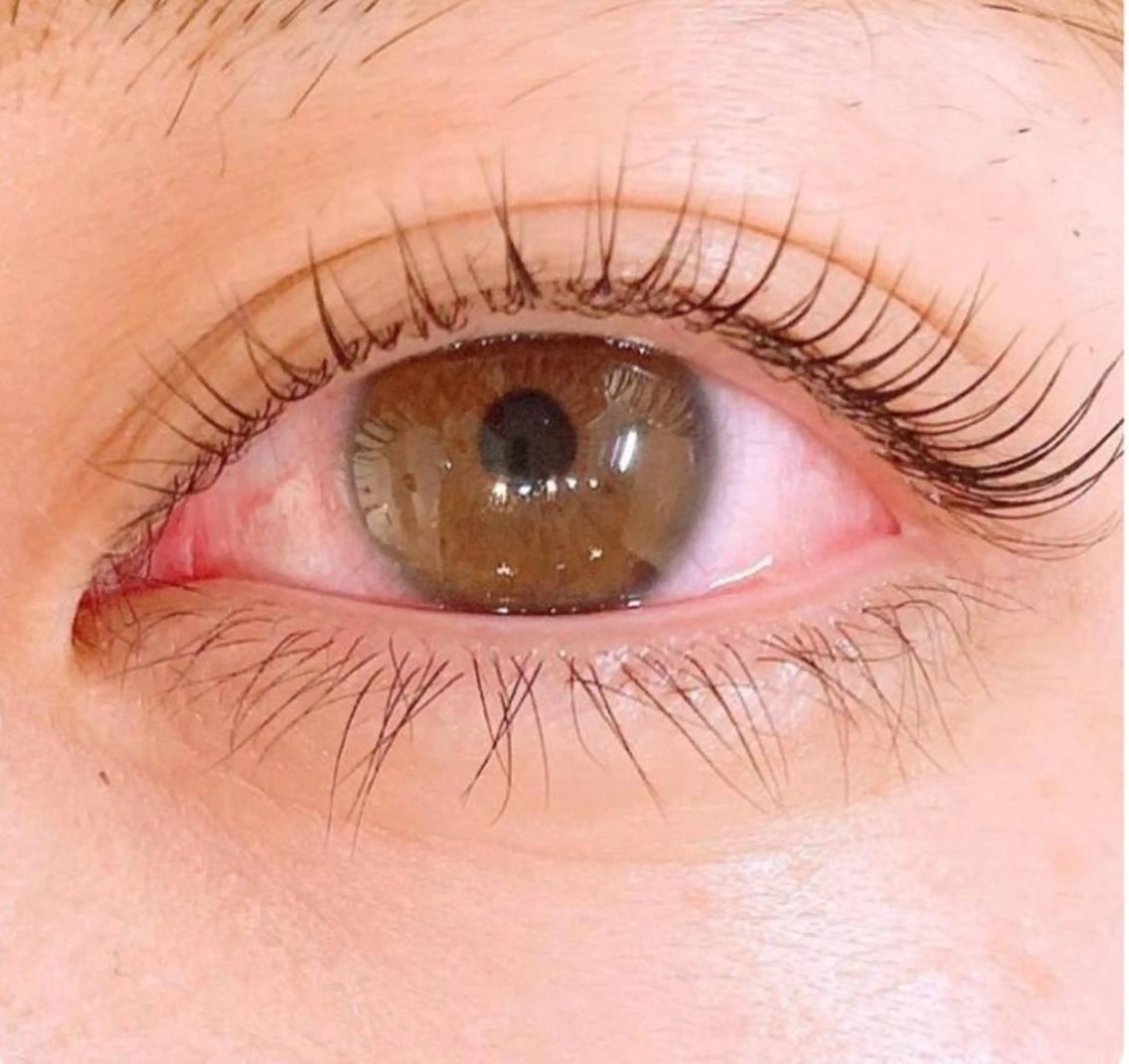 マツエク・マツパ ALETTADONA 北千住✨katoのマツエク・マツパデザイン