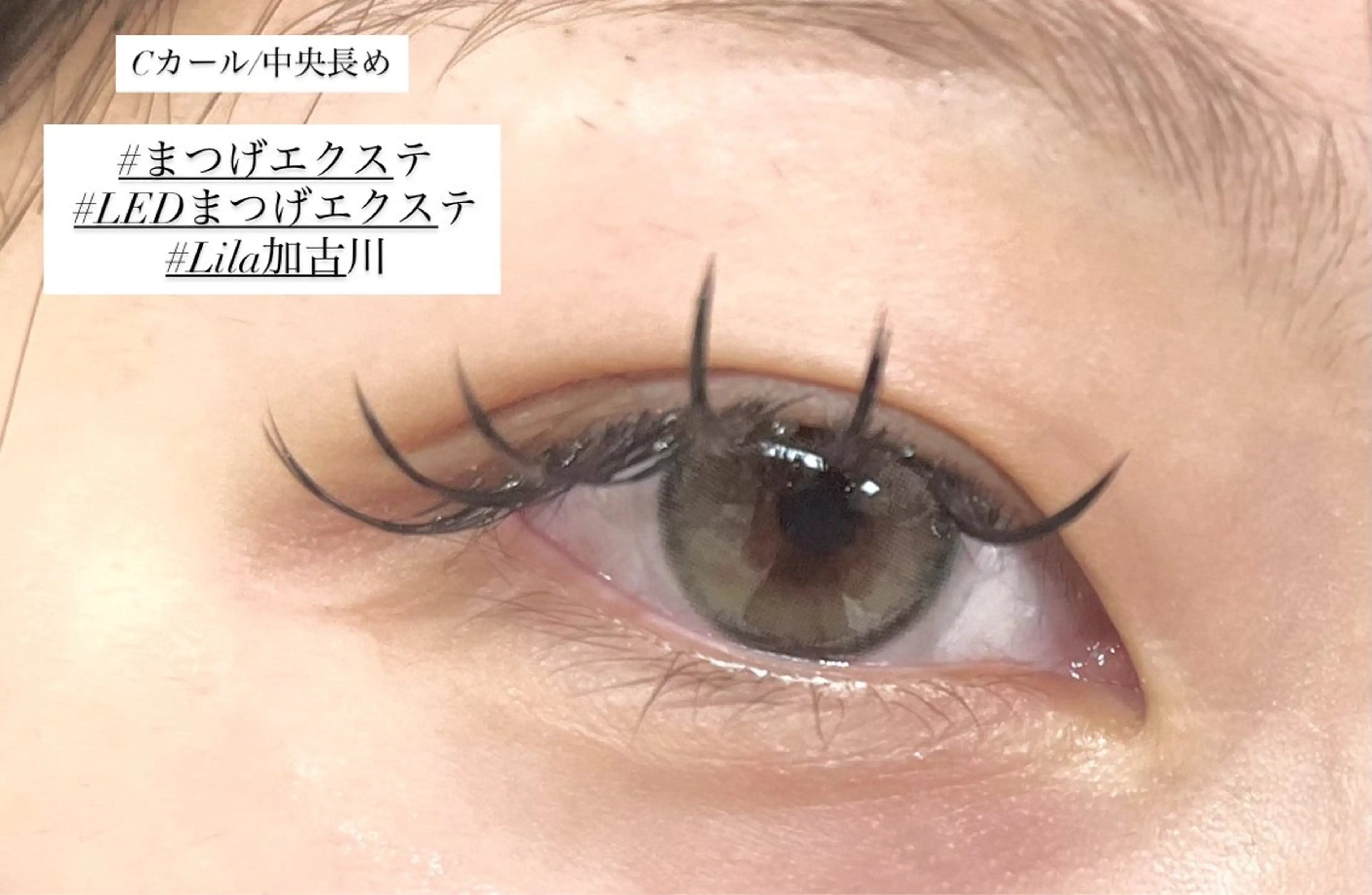 マツエク・マツパ 清松 雪穂のマツエク・マツパデザイン