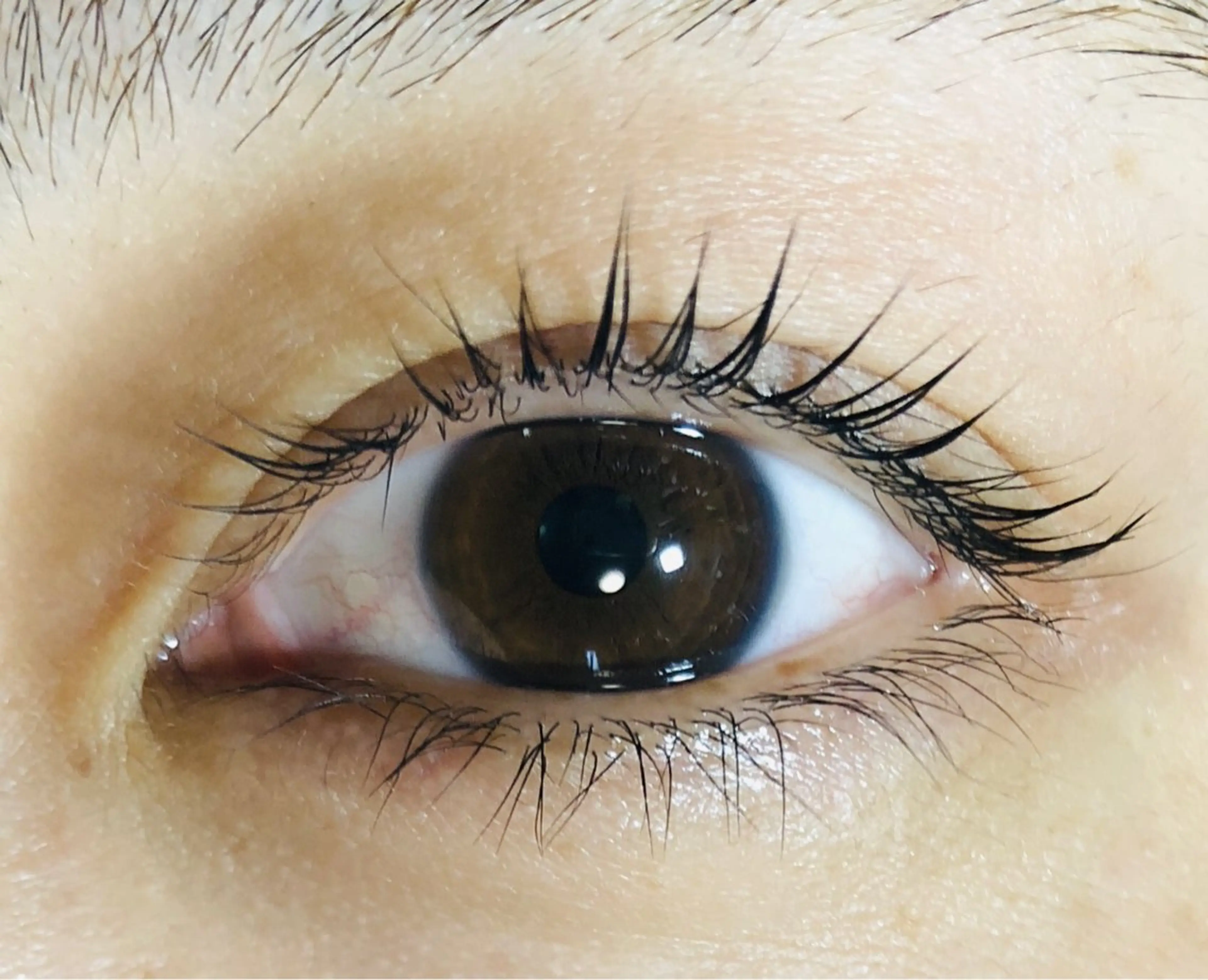 【まつ毛パーマ】２回目以降🦋インスタフォロー.いいね🦋でお得なメニューの写真