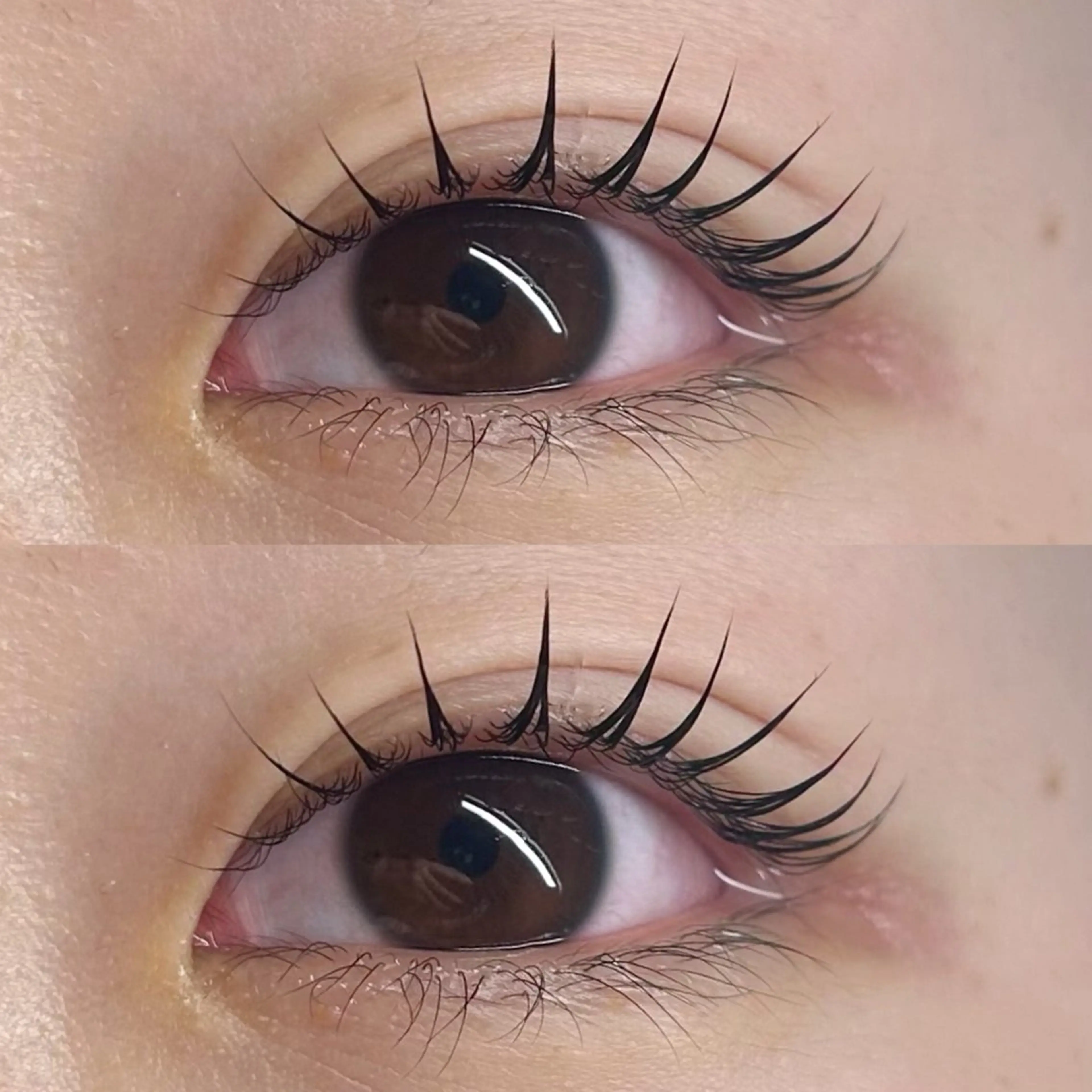 💖トリートメント・コーティング付きまつ毛パーマ💖の写真