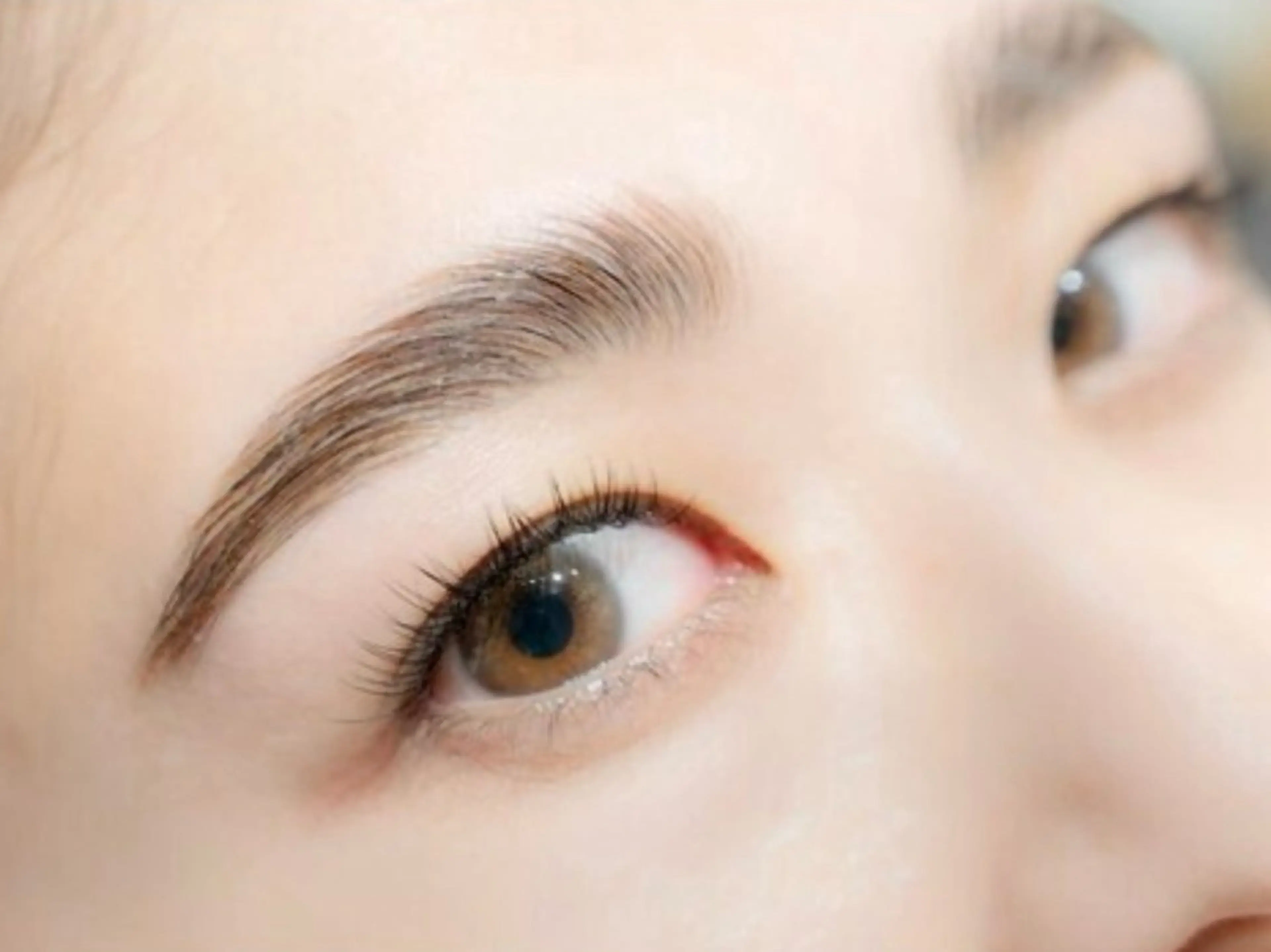 ハリウッドブロウリフト🌼(眉毛/アイブロウ(WAX+メイク込み)🕊️✨の写真