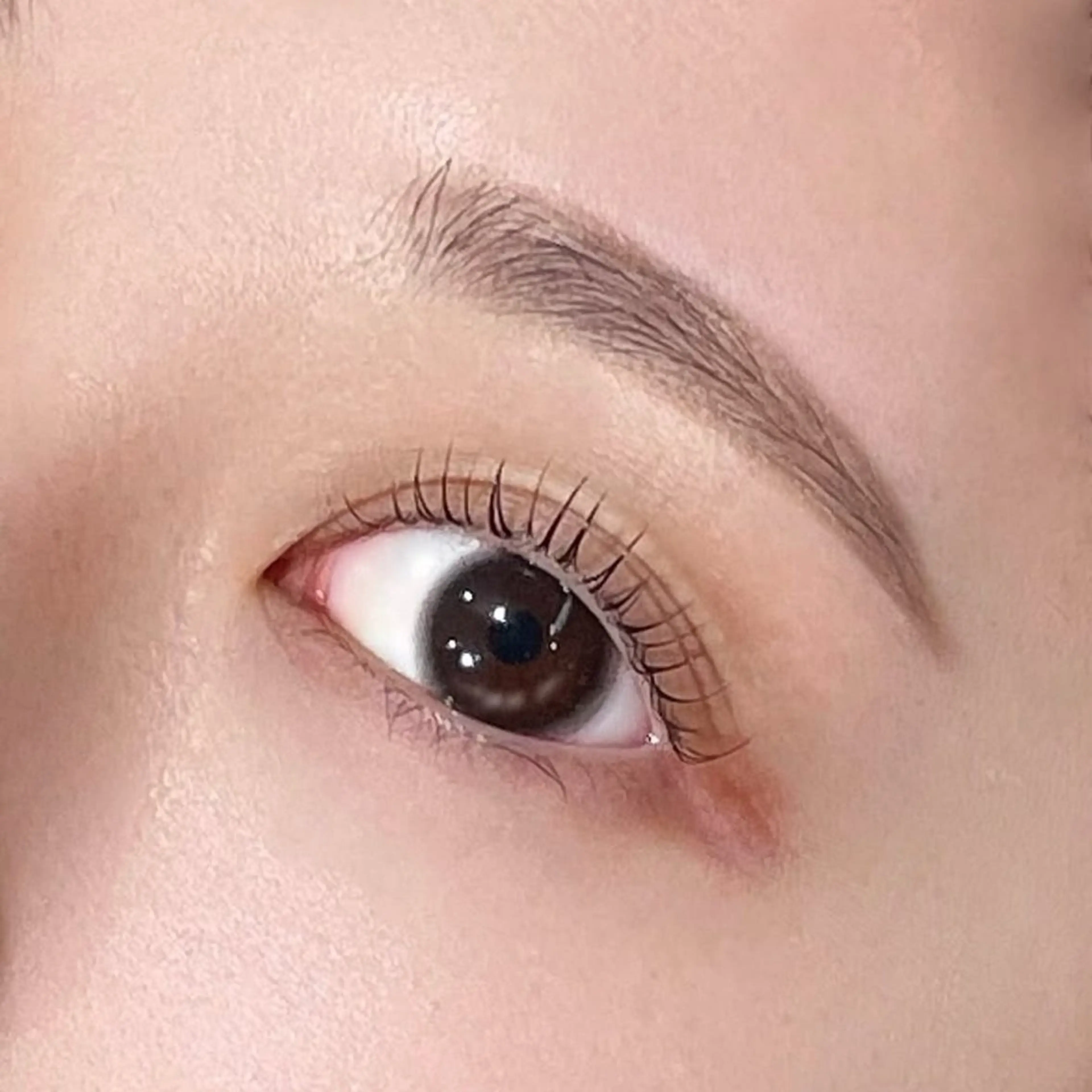 【12月限定特別価格🎄🎅】アイブロウワックスの写真