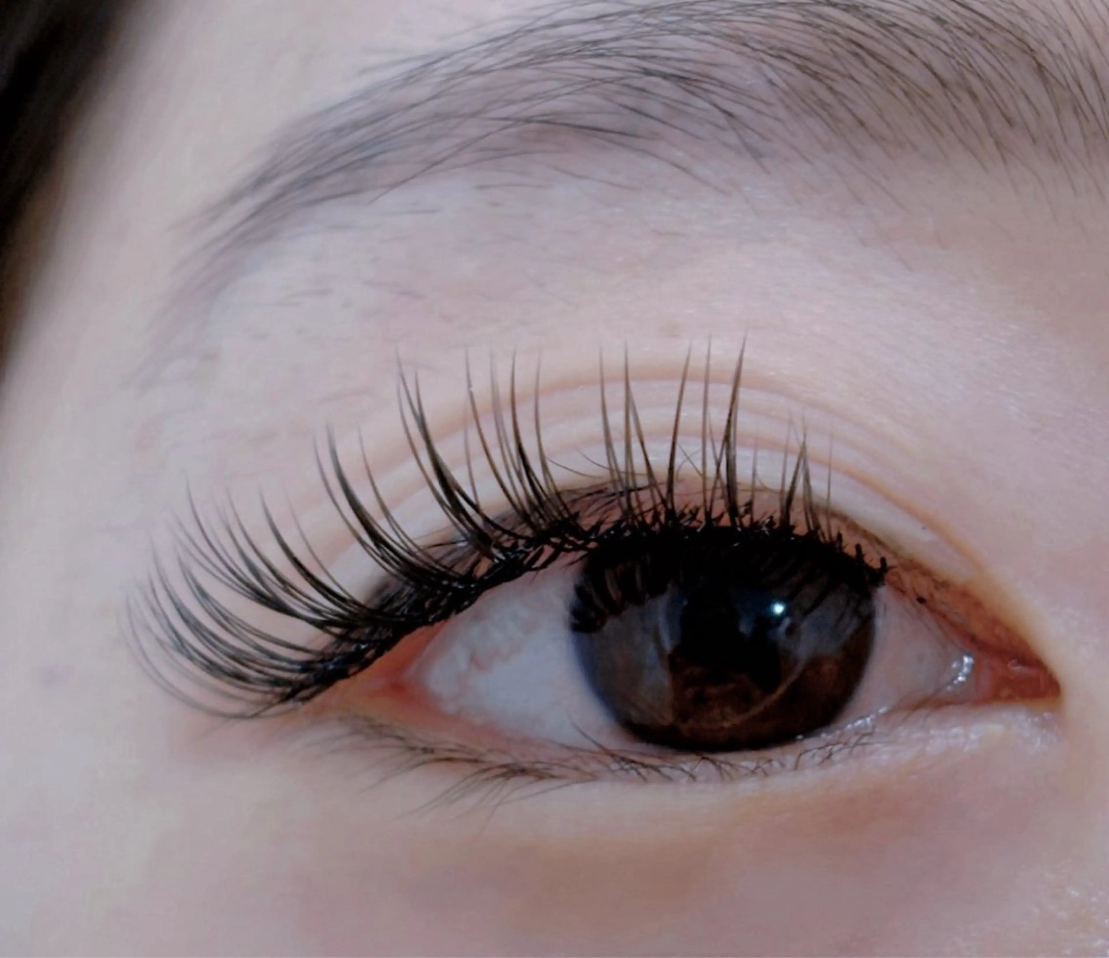 試しコース🌈バインドロック✨ 80束 (オフ+500円)の写真