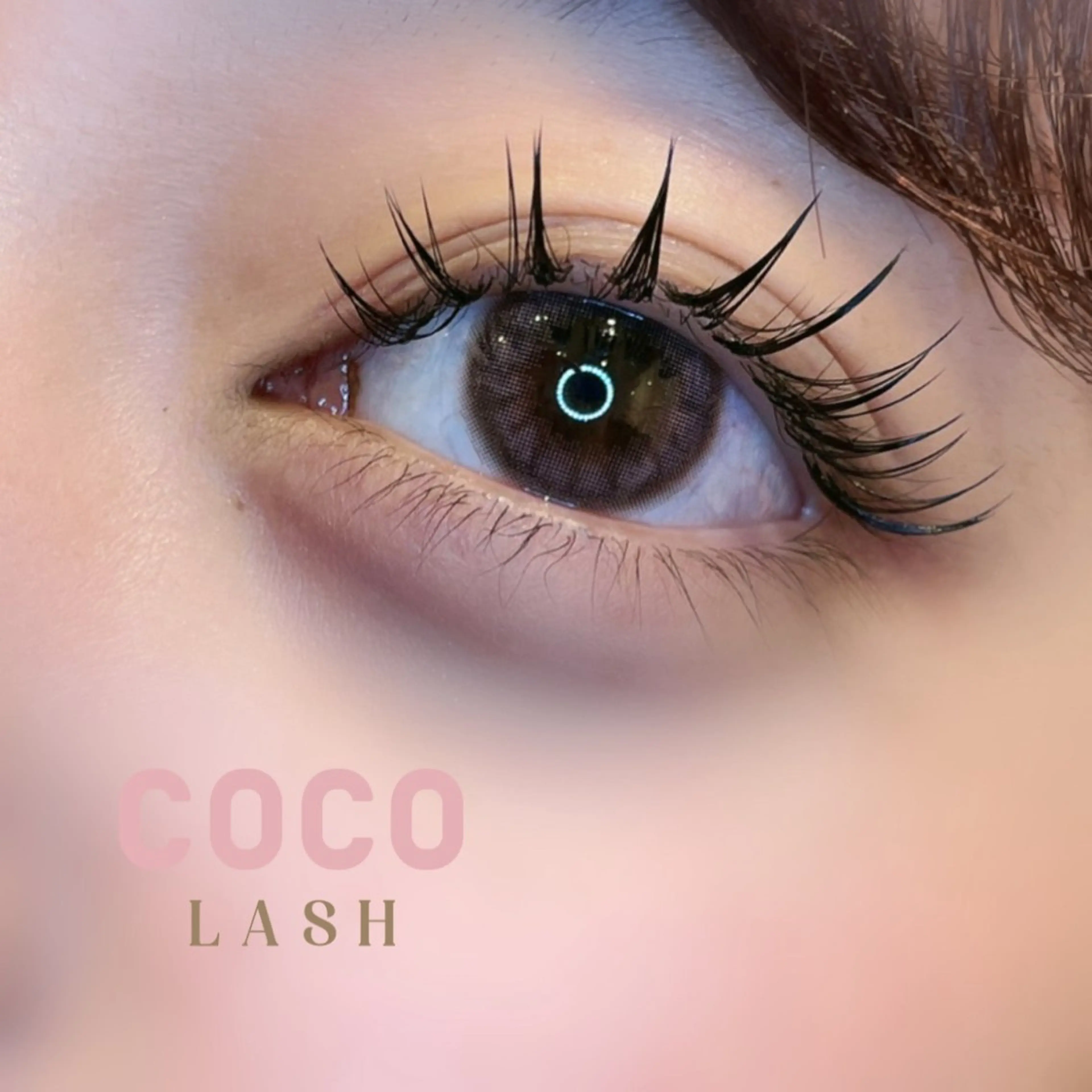 3D Lash 300本(100束)美容液で束感仕上げ🪄︎︎の写真