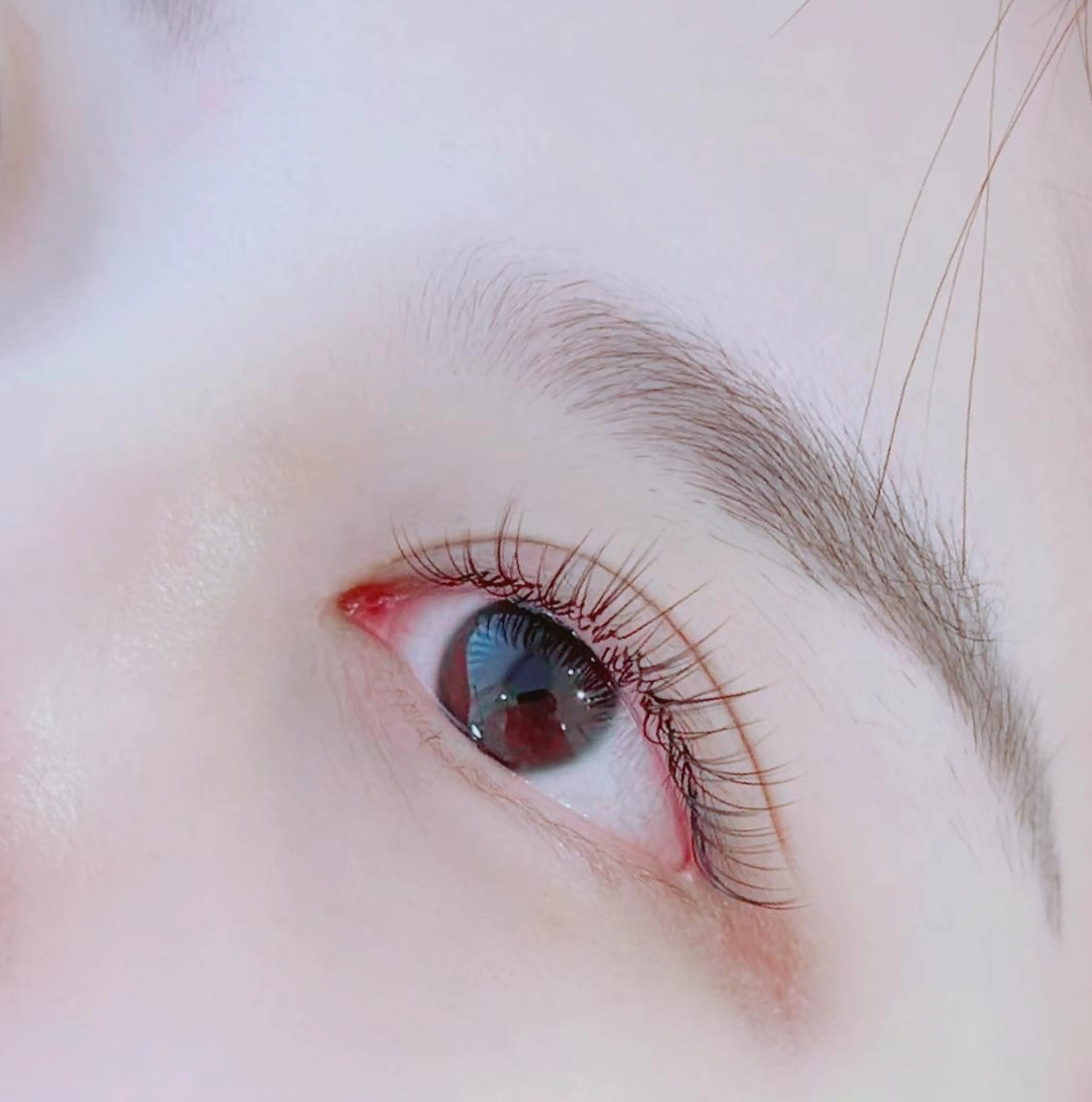 マツエク・マツパ マツエク An beauty salon🎀のマツエク・マツパデザイン