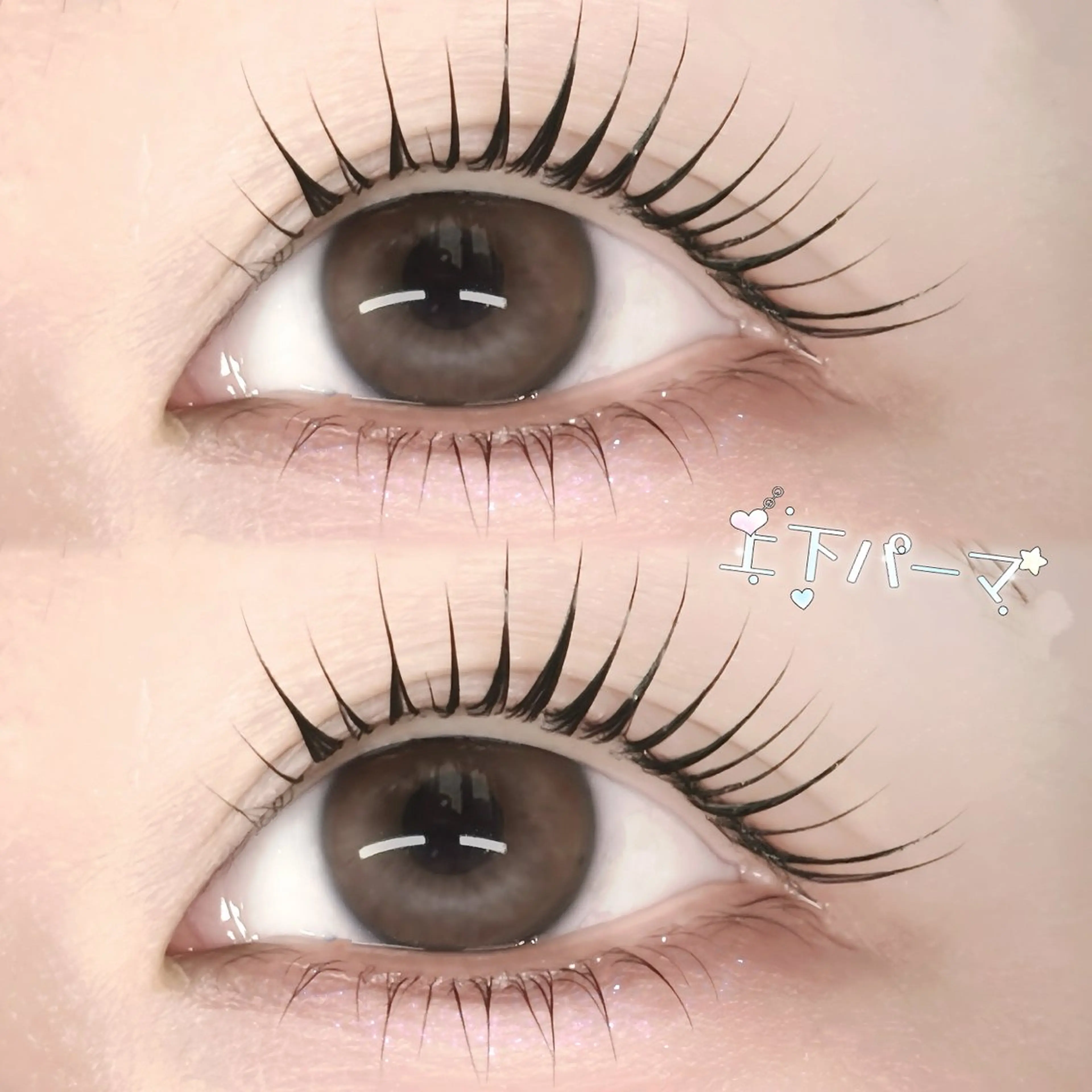 マツエク・マツパ まつげパーマ 下まつげエクステ FaB 千葉店所属・🩶LEDエクステ& 上下パーマRAN🪽のマツエク・マツパデザイン