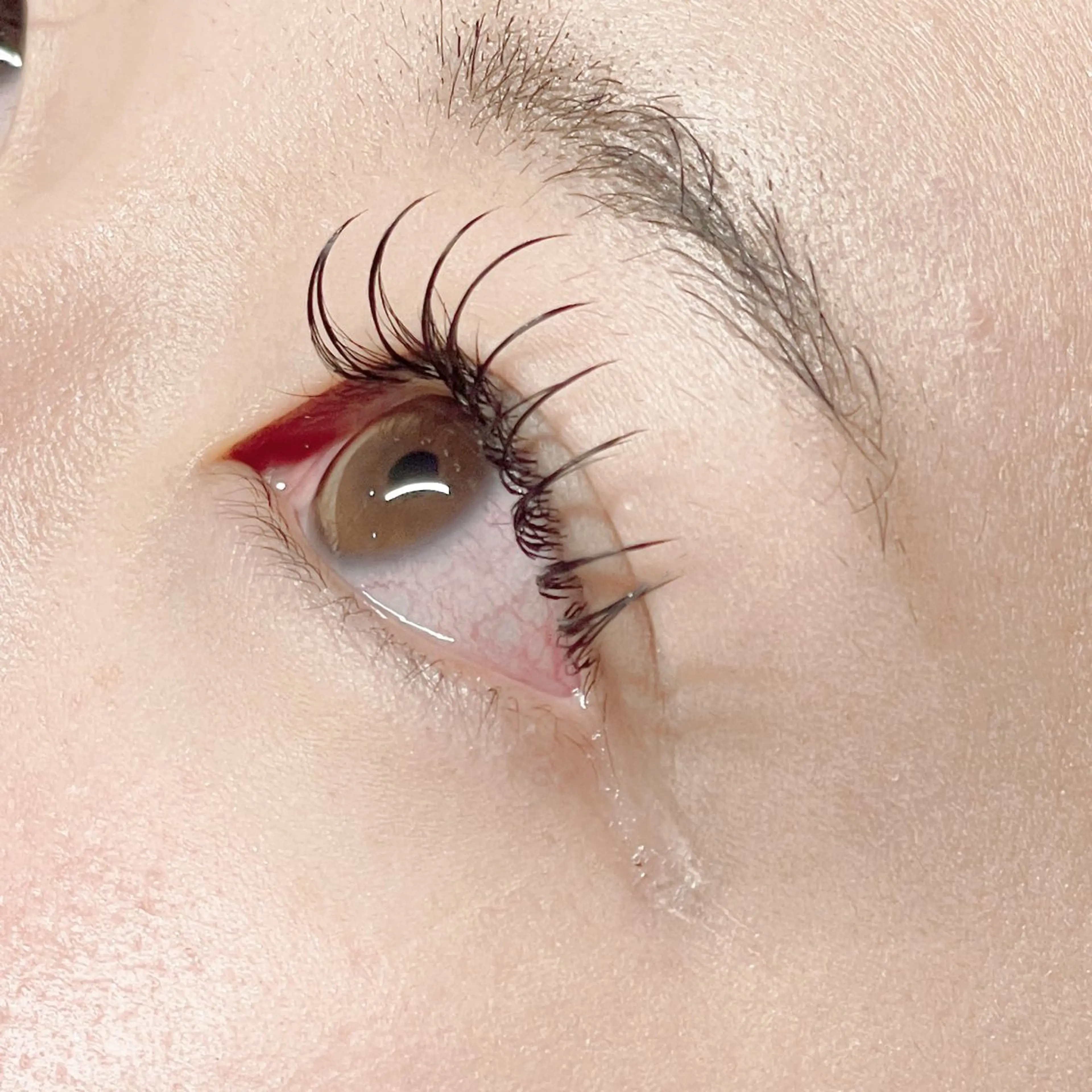 フラットマットラッシュ120 ＋ アイシャンプーの写真