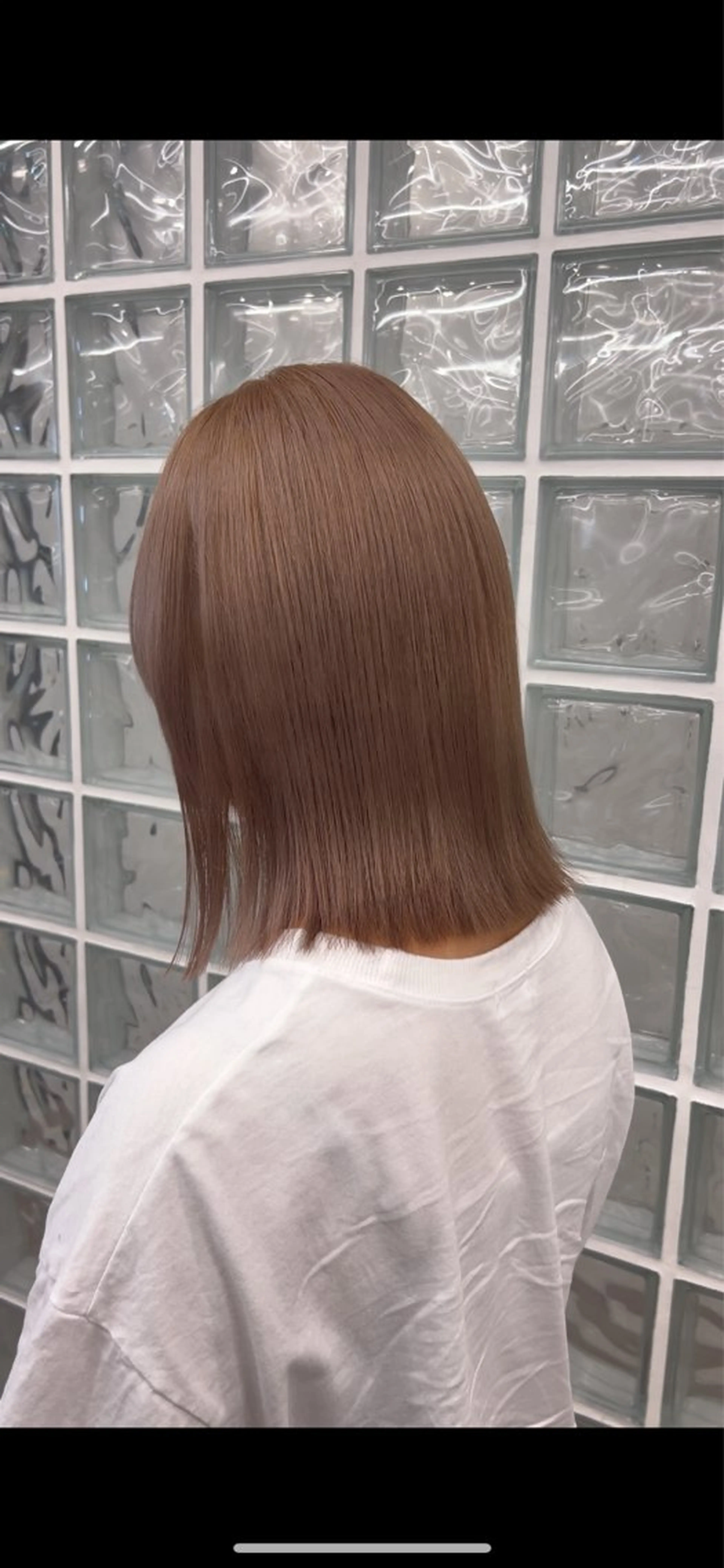 ワンカラーの写真