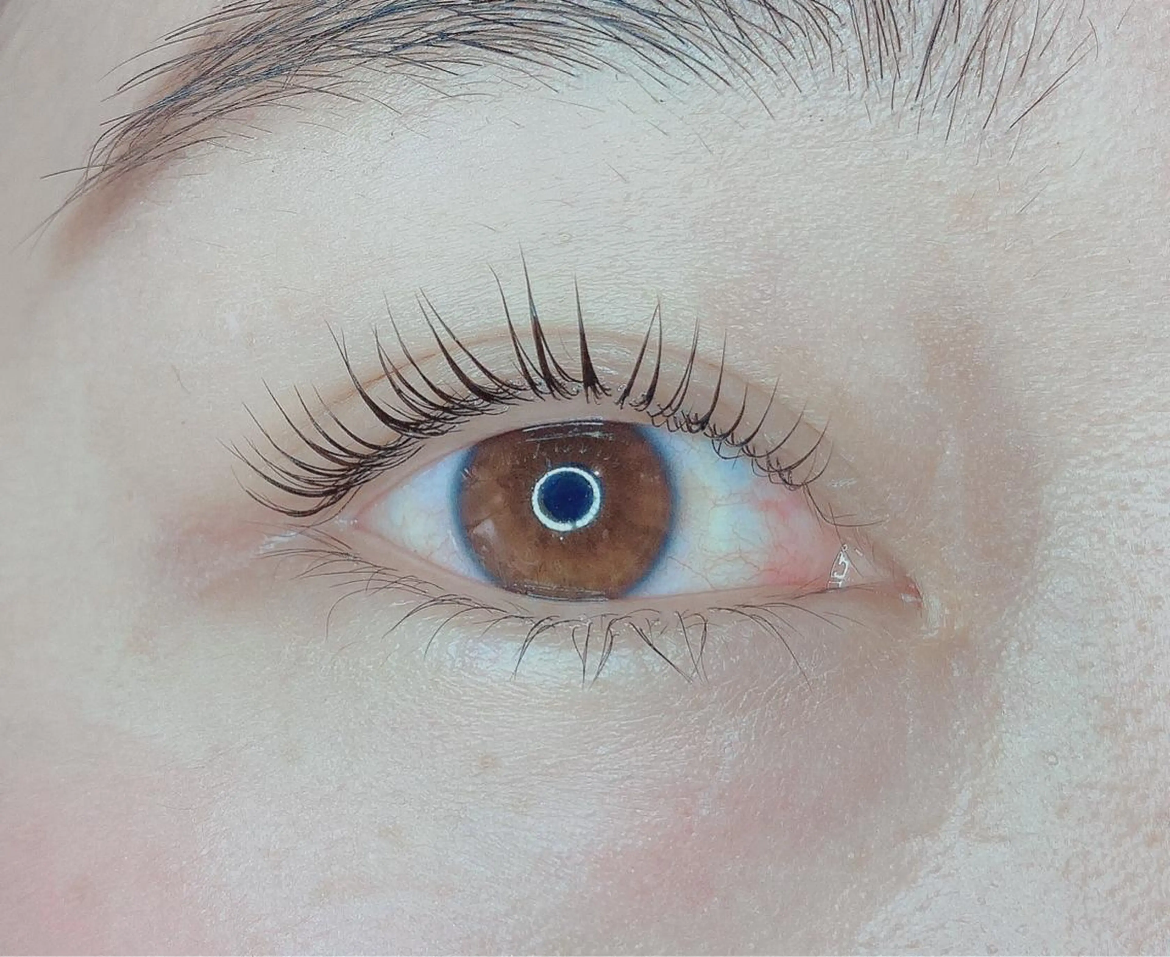 マツエク・マツパ TIARA池袋西口店 店長YASUKA💐のマツエク・マツパデザイン