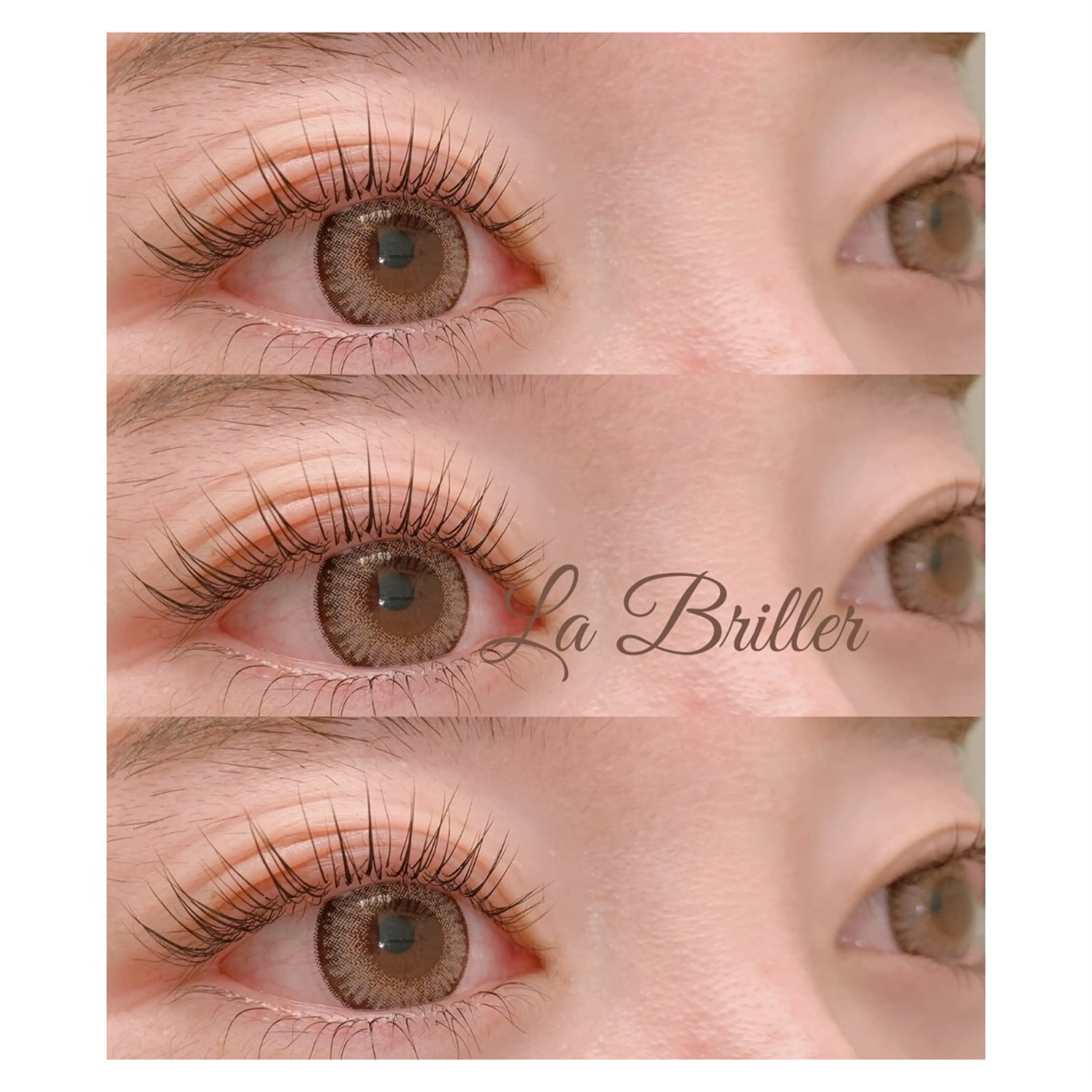 ミニモ限定！ラッシュリフトクーポン💓上下の写真