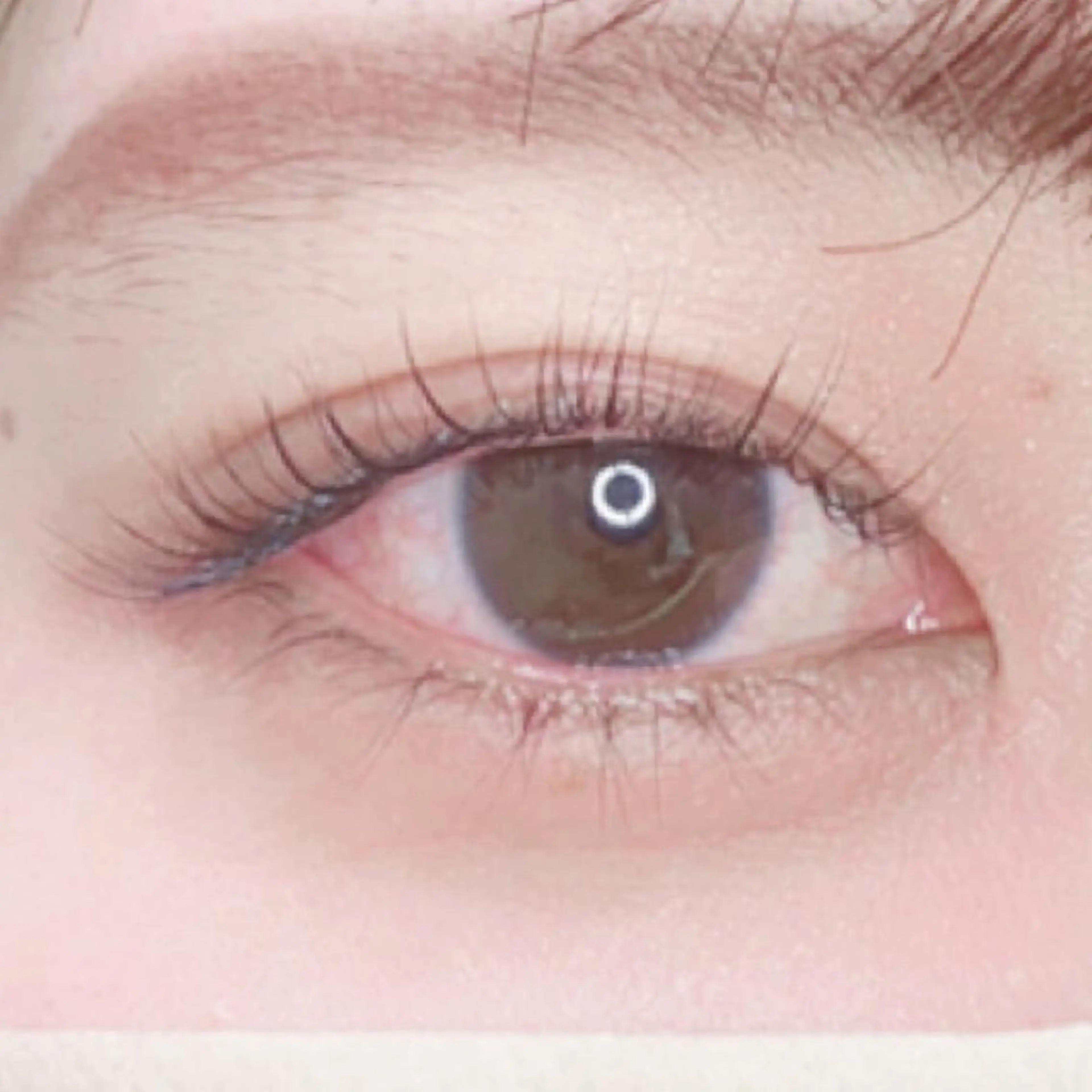 マツエク・マツパ Ayumi.dre 💎A《2階》のマツエク・マツパデザイン