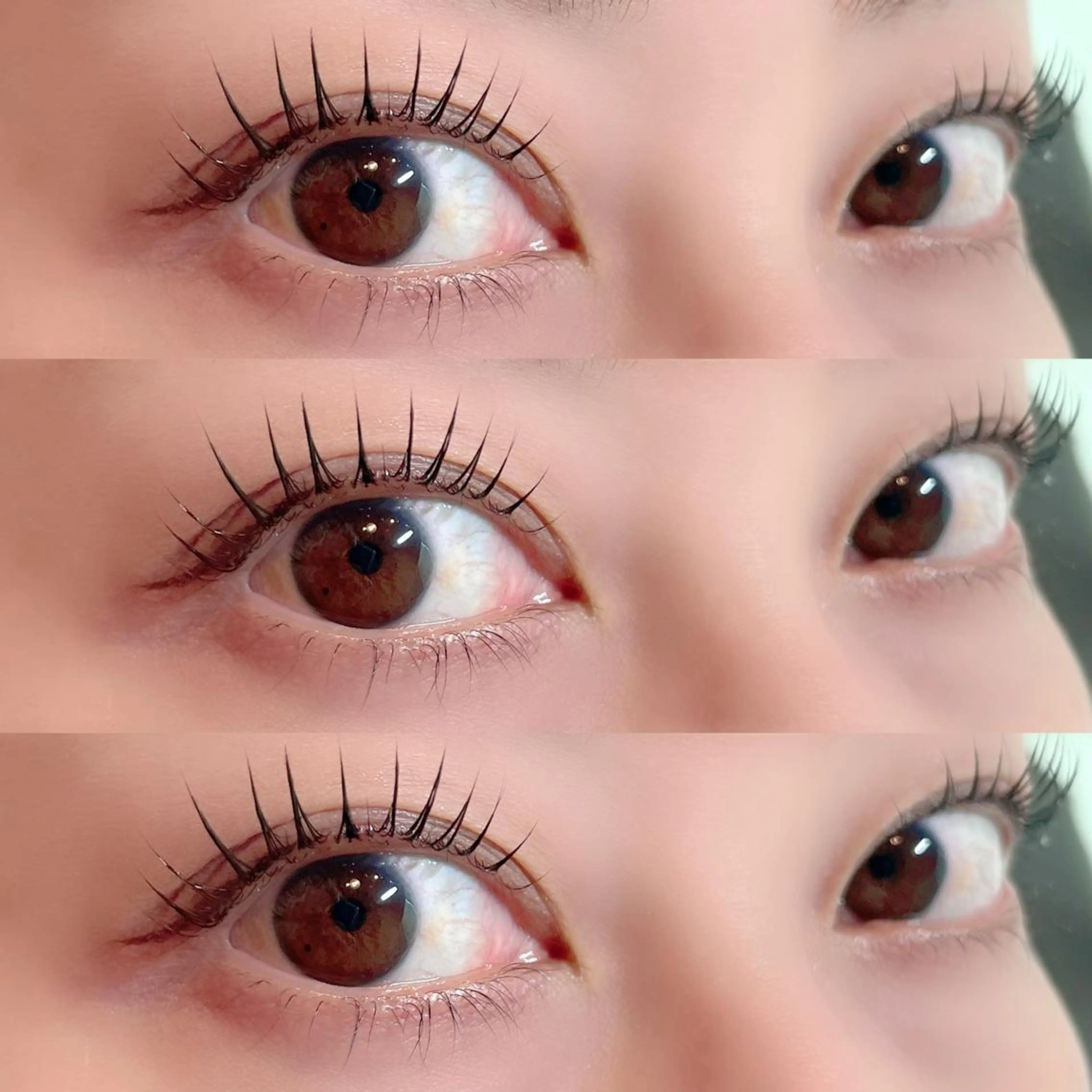 ロイヤルラッシュリフト 45分 上のみの写真