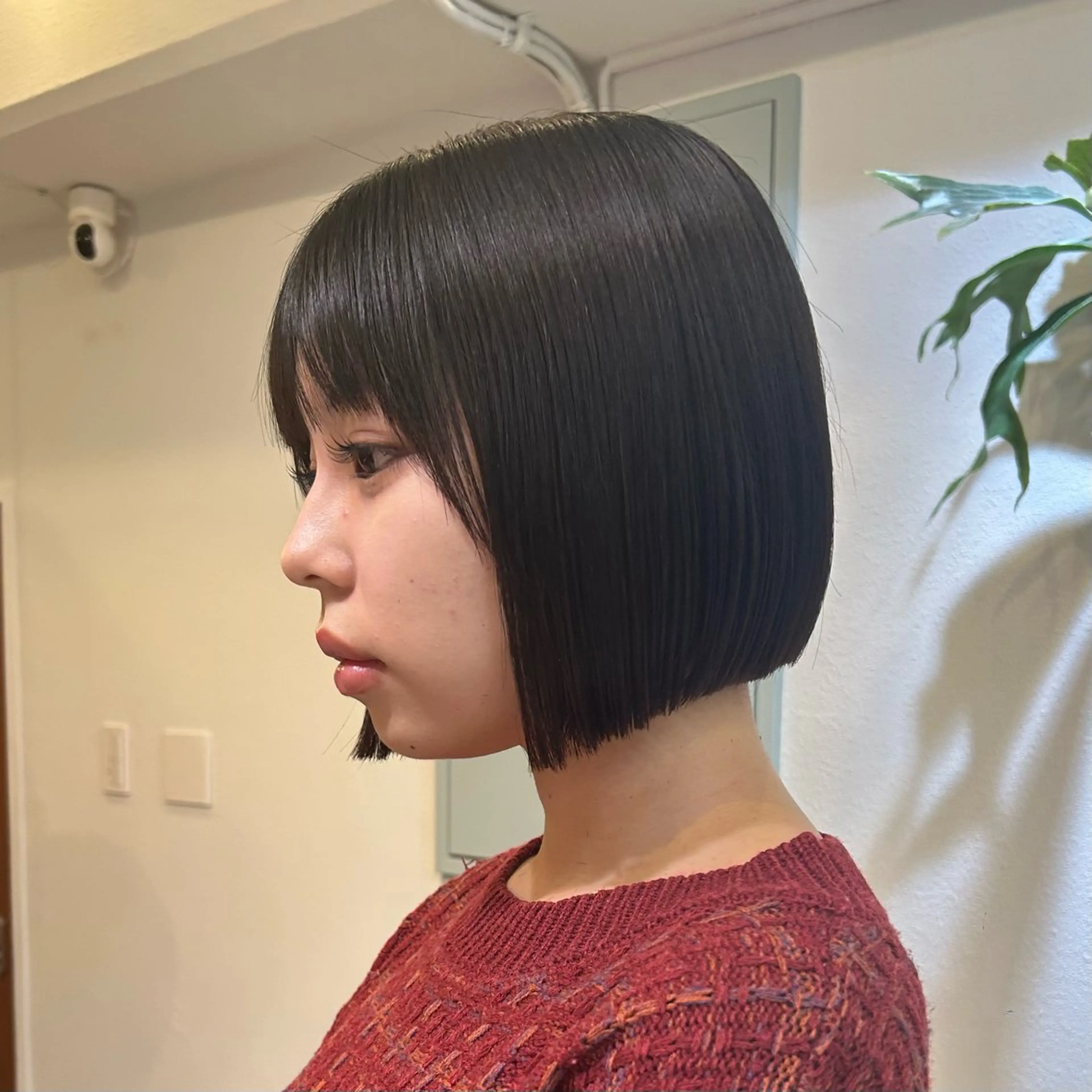 【ミニモ学割U24】メンテナンスカット+オーガニック艶カラー+1stepトリートメントの写真