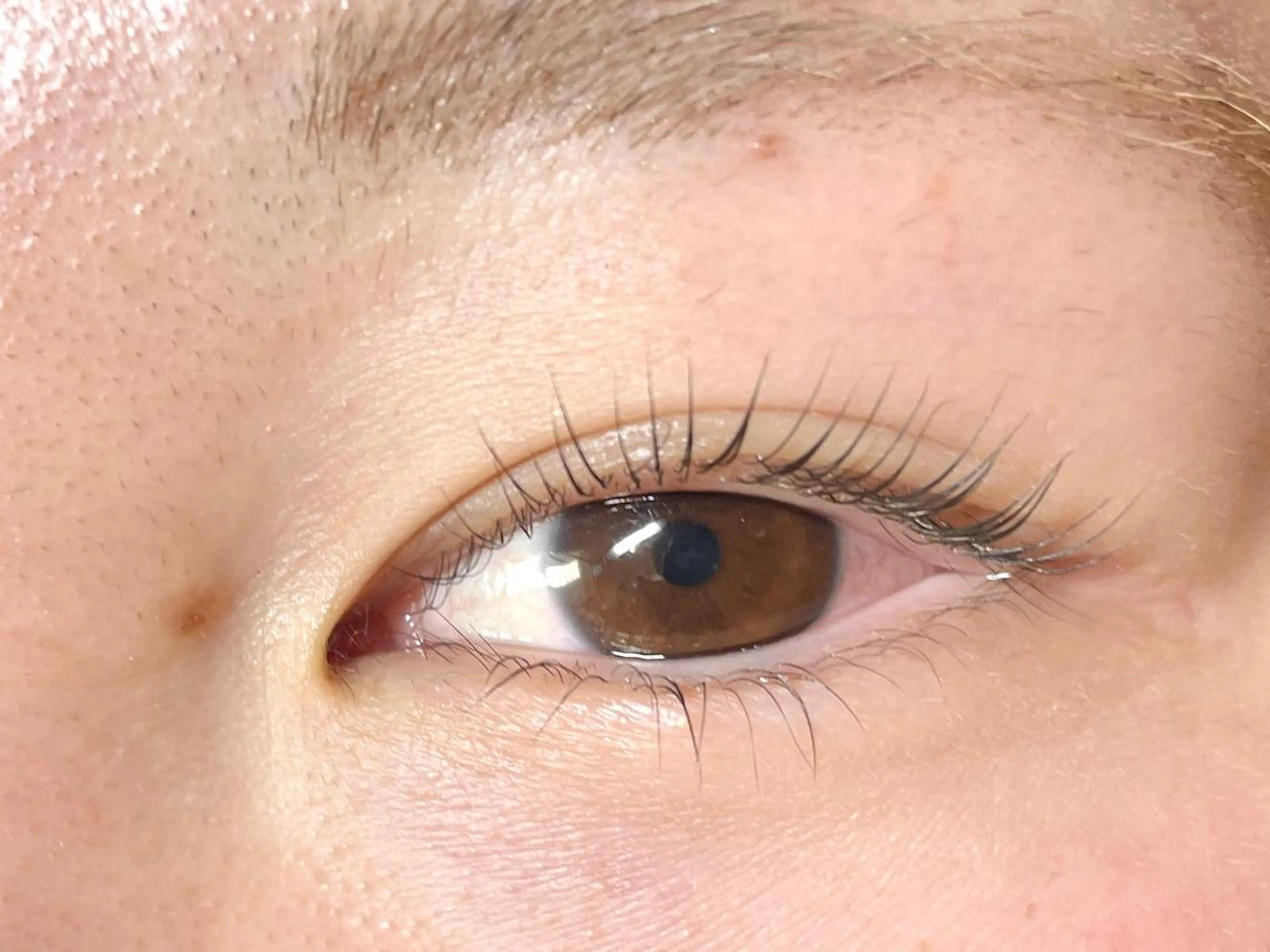 マツエク・マツパ 下まつげエクステ 一重×まつ毛パーマ Hipahipa SAKIのマツエク・マツパデザイン