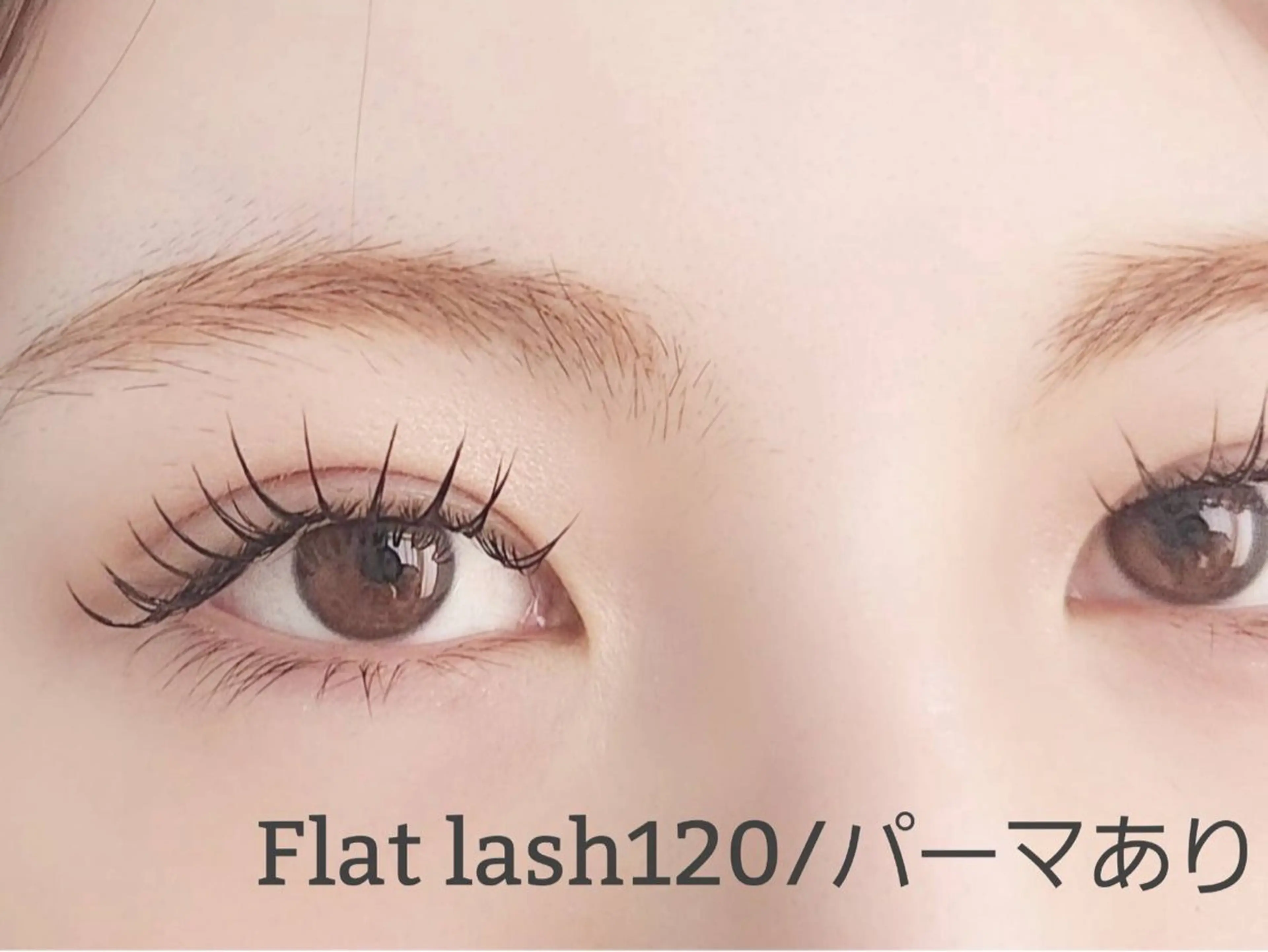 マツエク・マツパ eyelash salon  Sifa所属・Sifa(シファ)2 0代向けまつげサロンのマツエク・マツパデザイン