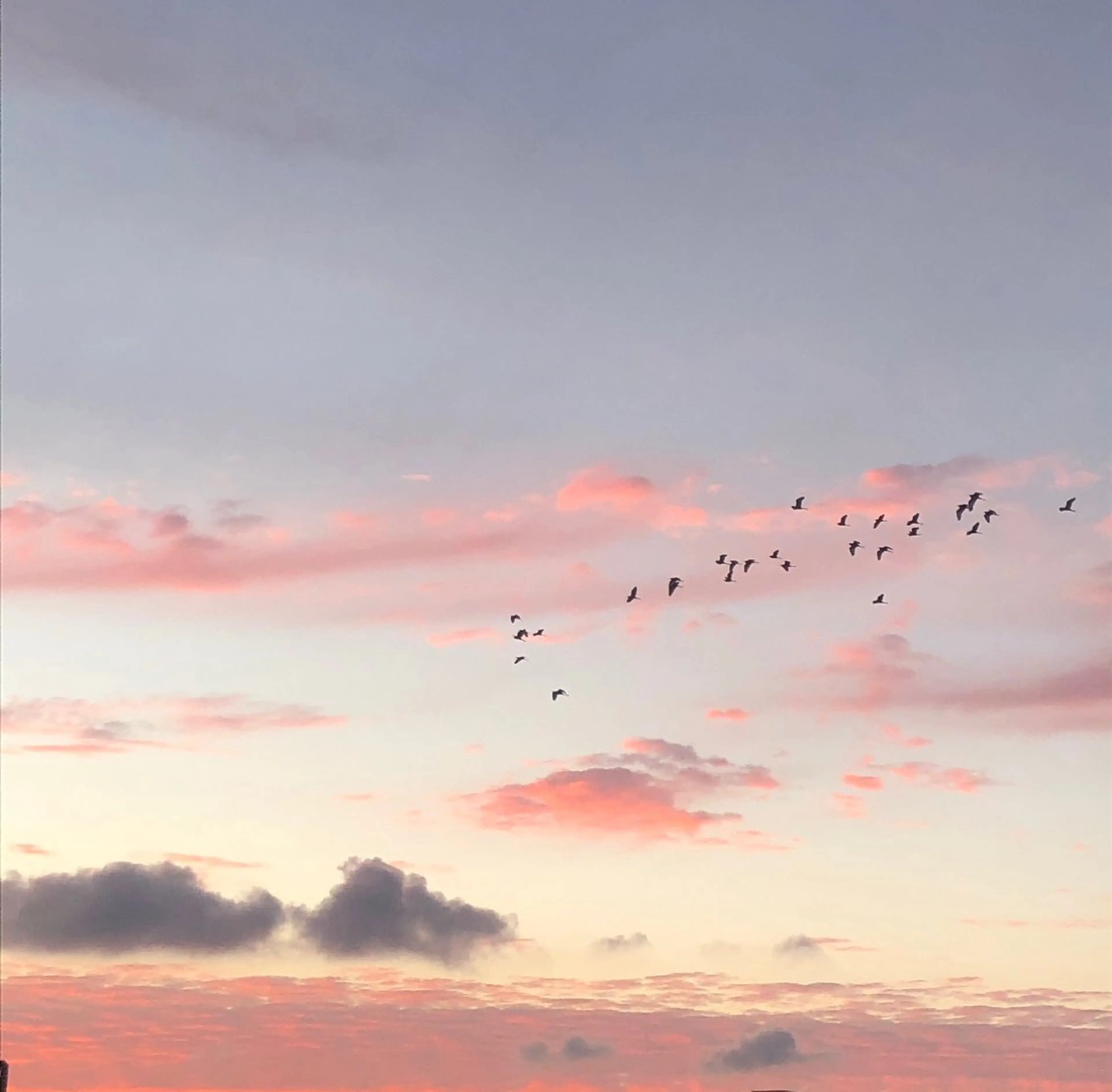 ネイル ネイルズシャトン🪡 ネイリスト齊藤のネイルデザイン