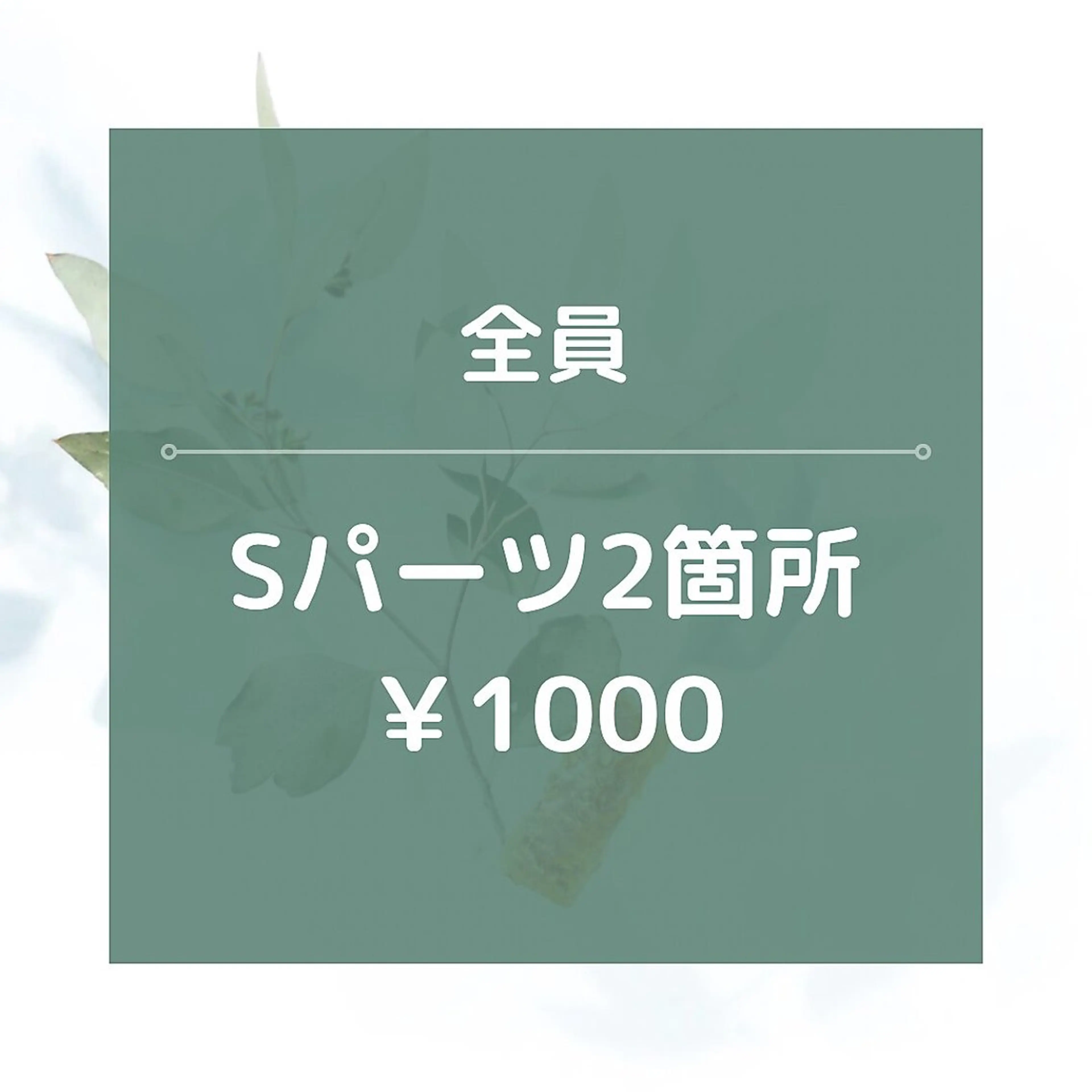 【男女OK】★☆Sパーツ2箇所/¥1000☆★の写真