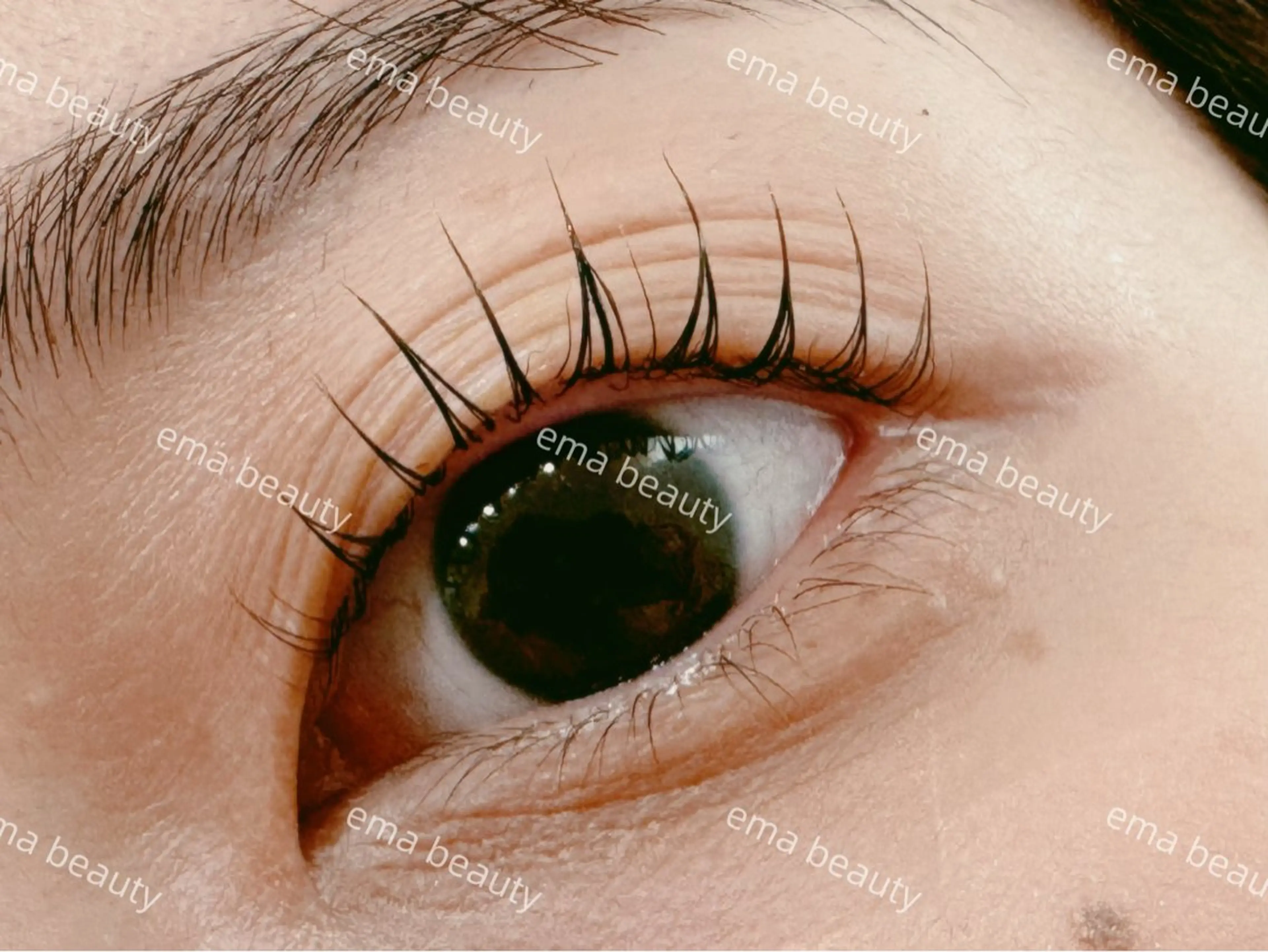 マツエク・マツパ マツパ EMA BEAUTY マツエクサロン池袋店のマツエク・マツパデザイン