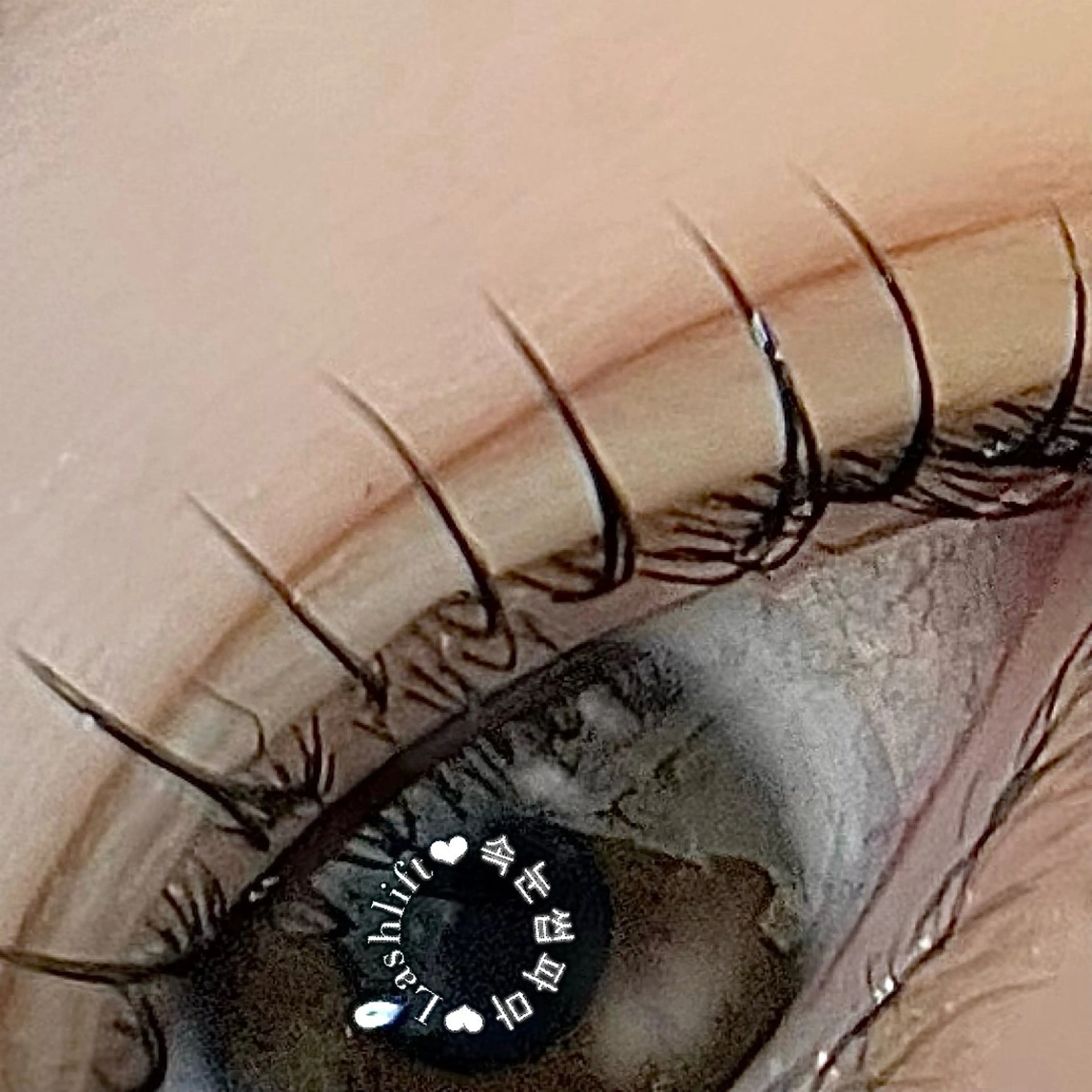 マツエク・マツパ マツパ 韓国束感まつげ｜ MANAMI🧸のマツエク・マツパデザイン