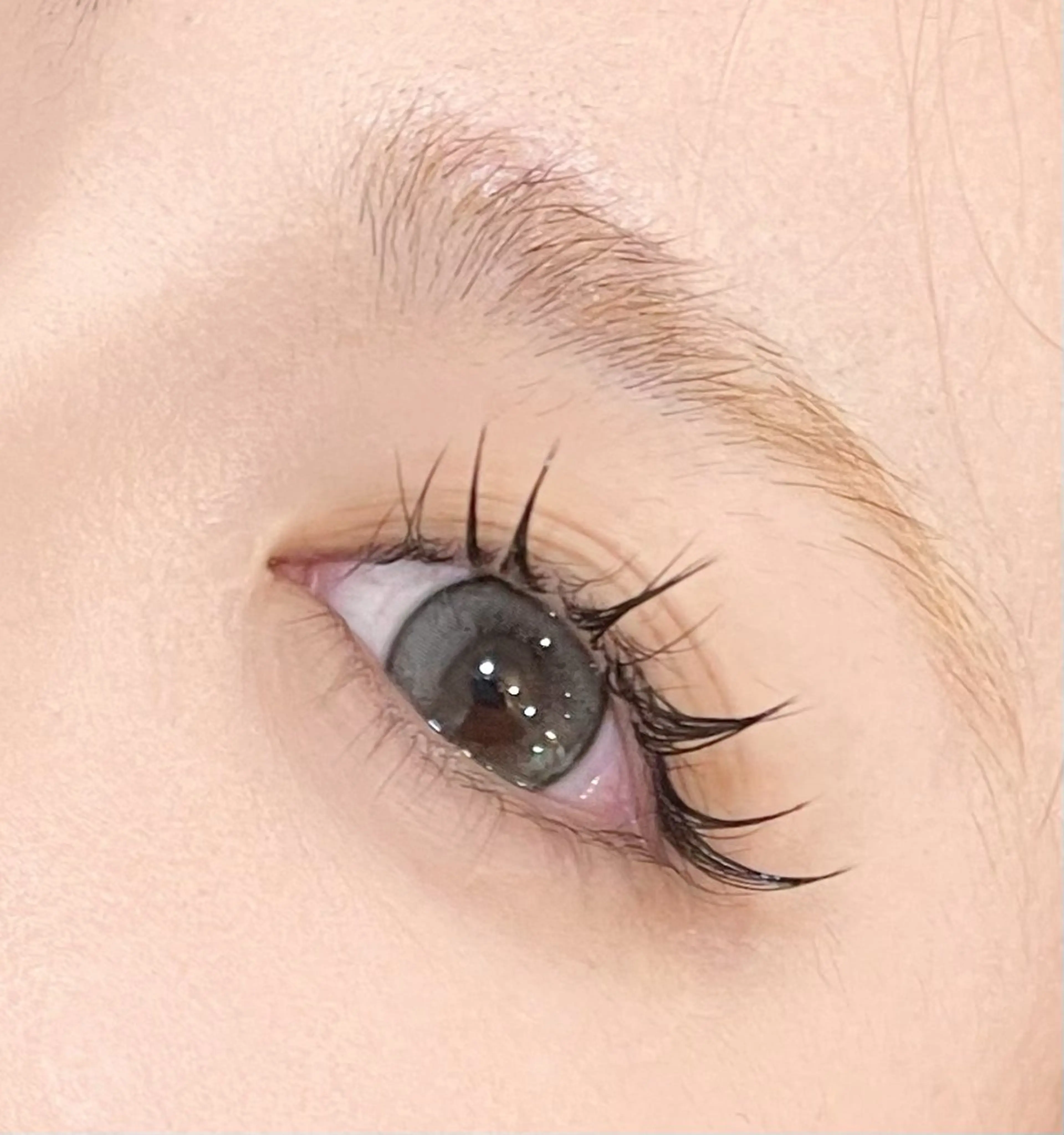 マツエク・マツパ EYELA(アイラ)柏店所属・👑EYELA 柏／ 川村👑のマツエク・マツパデザイン