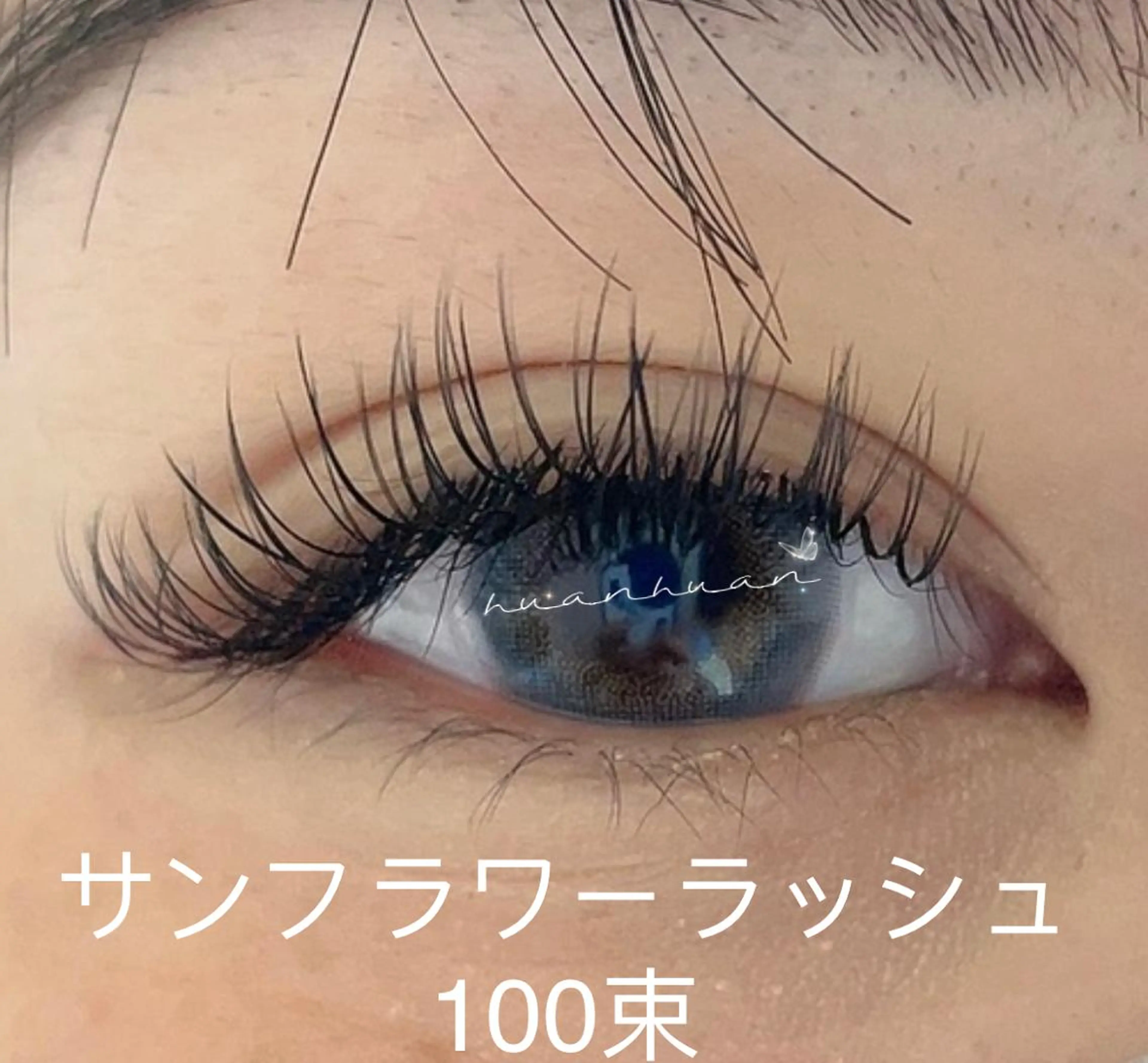 🌈サンフラワーラァシュ100束5000円/120束6000円/140束7000円の写真