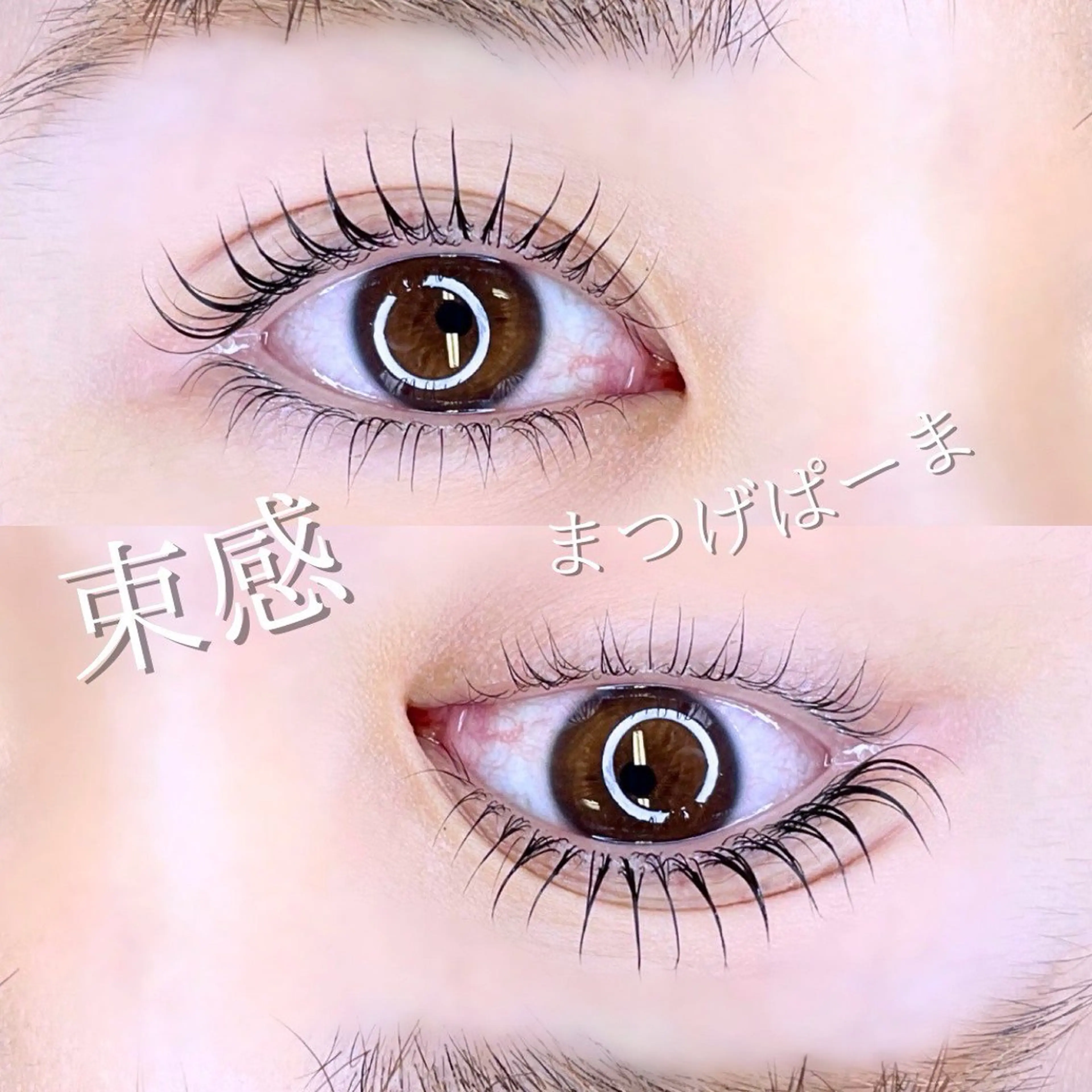 【当日限定】⚠️U18学生証提示必須⚠️限定ミニモ学割👩🏻‍🎓 まつげパーマ👀 ￥2200-の写真