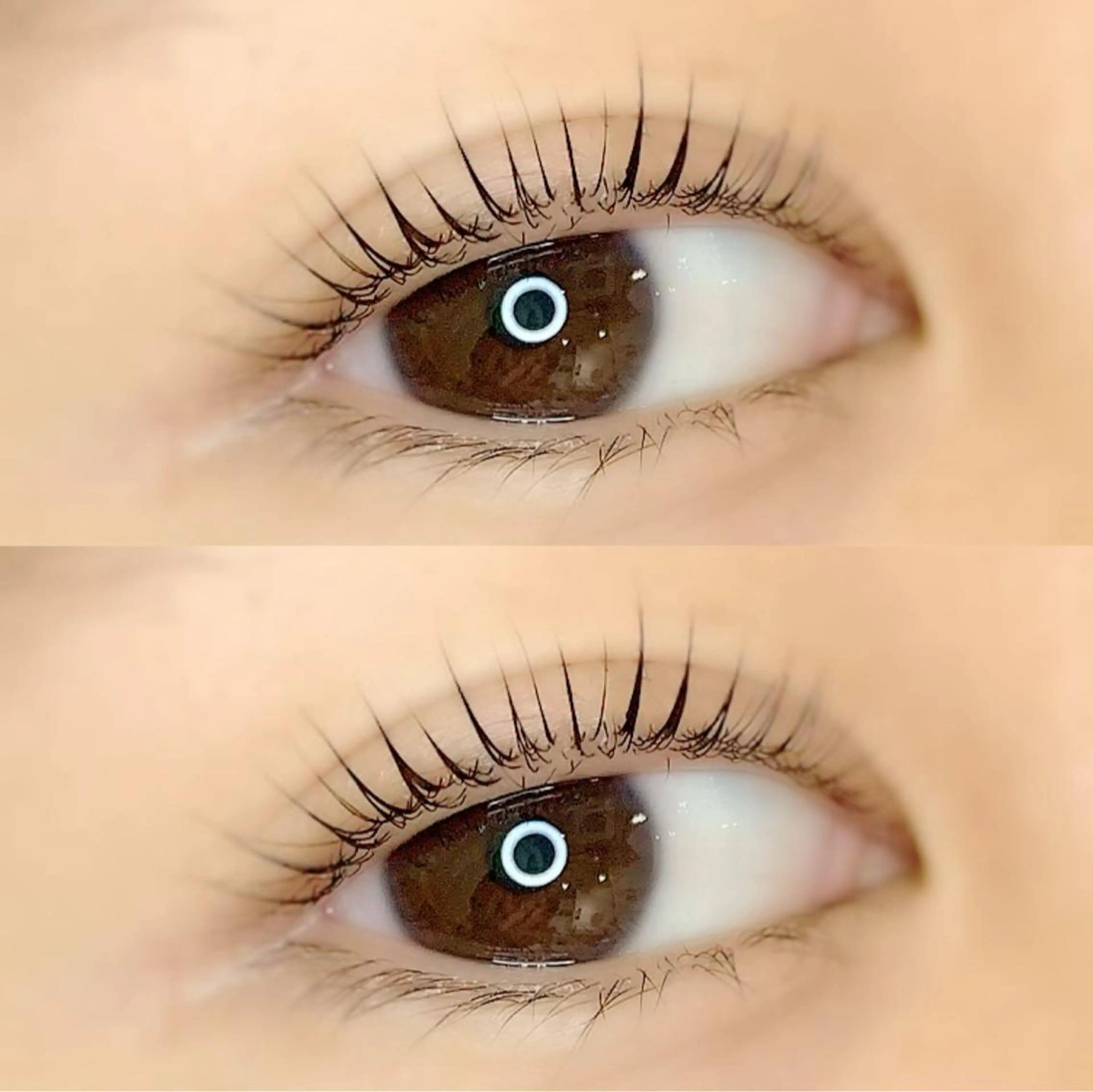 マツエク・マツパ まつ毛パーマ専門プライベートサロンEmmy(エミー)所属・saki🌷 Emmyのマツエク・マツパデザイン