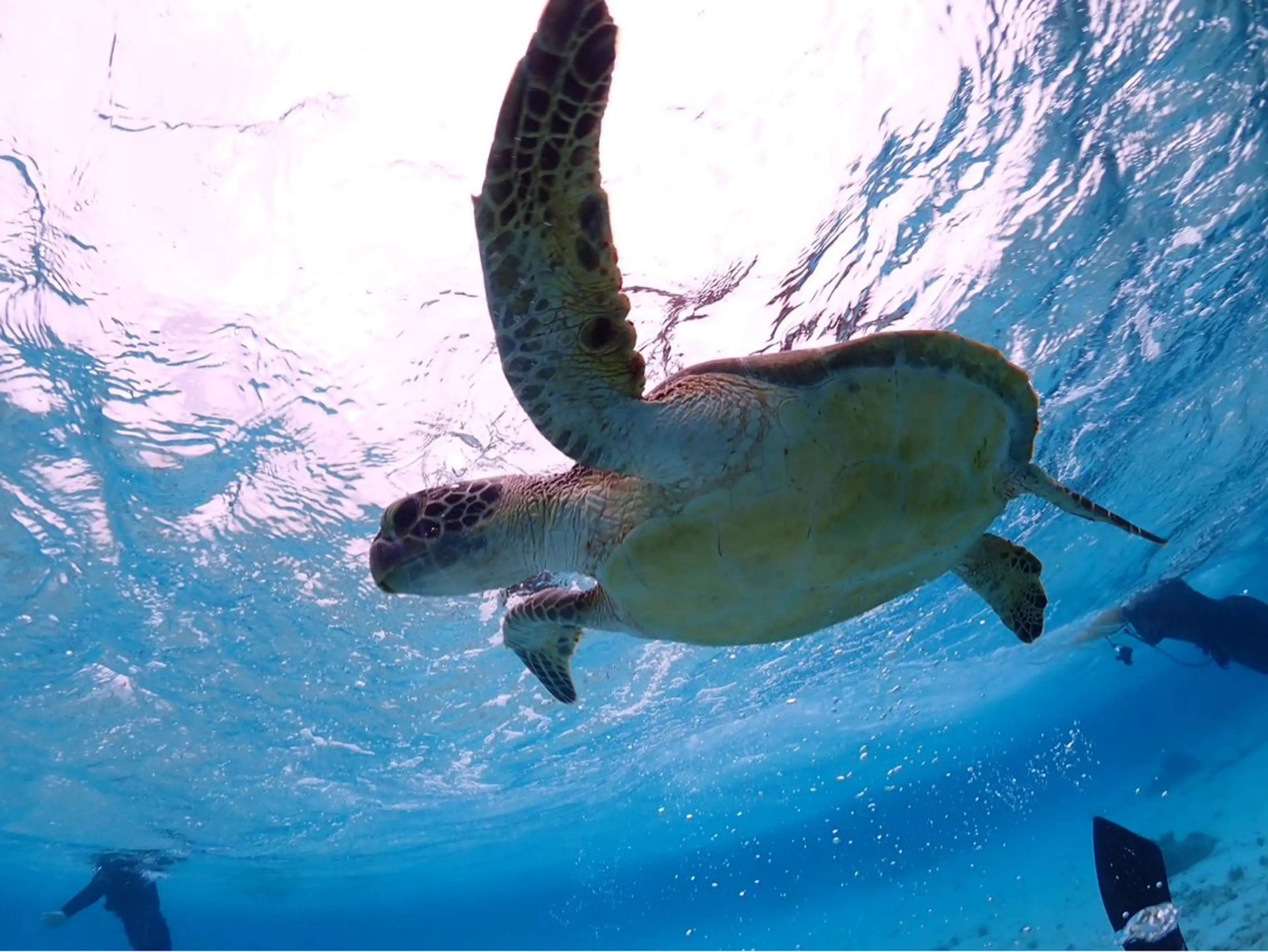 神山 ビューティー・アイのマツエク・マツパデザイン