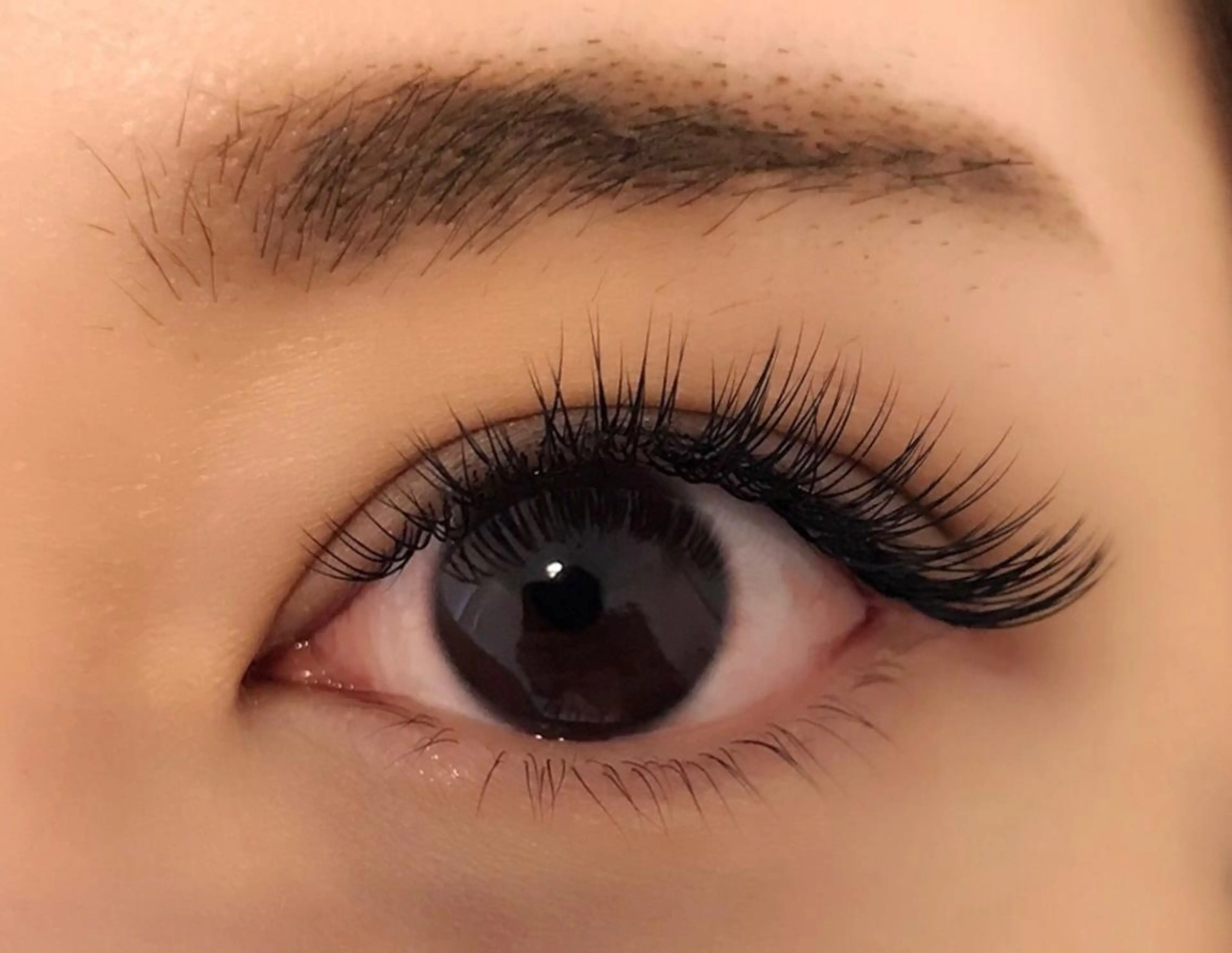 【2回目まで使える🌿】フラットラッシュ変更+1100円最高級セーブル上付け放題+トリートメントコーティング【オフ込】の写真