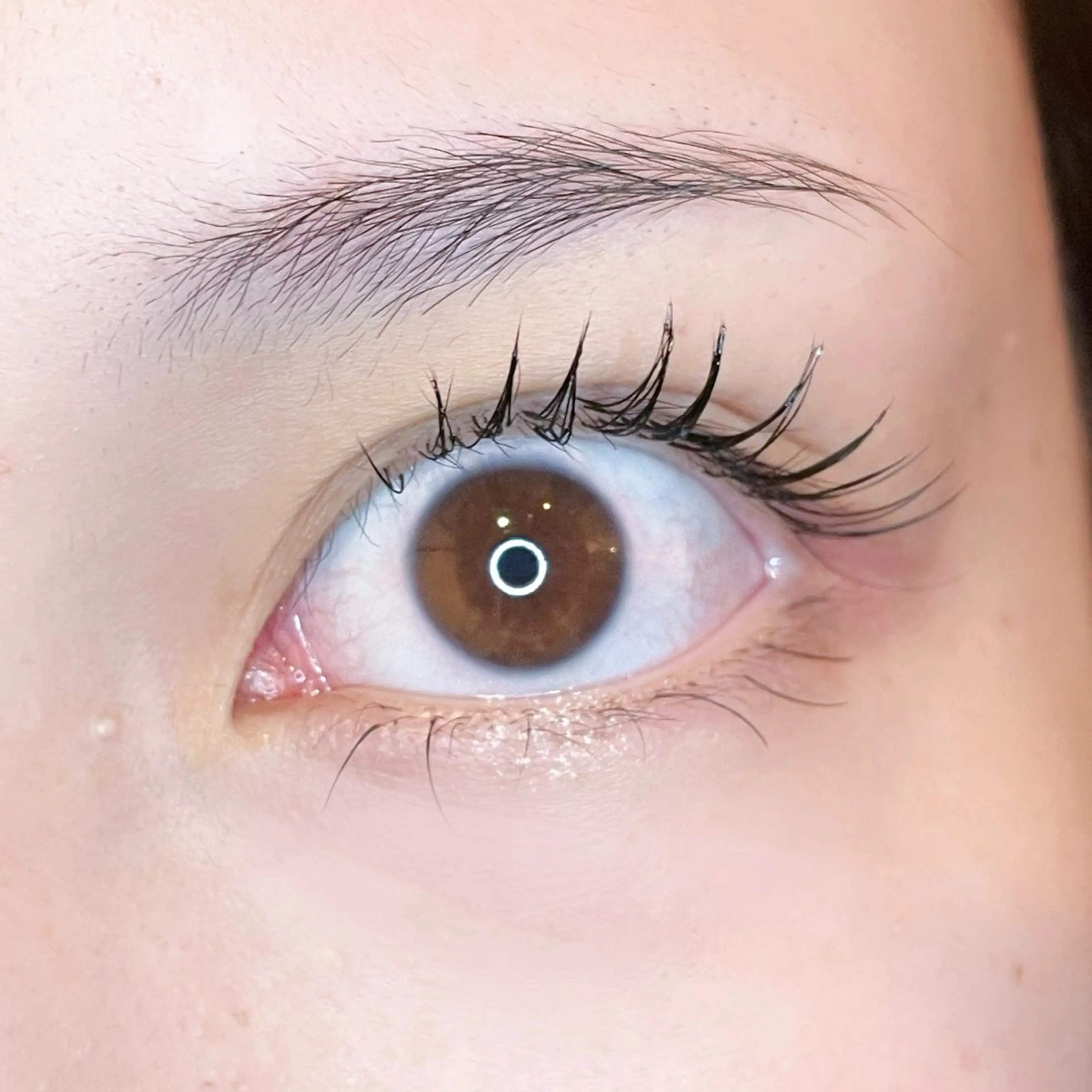 🌹まつげエクステ120本🌹の写真