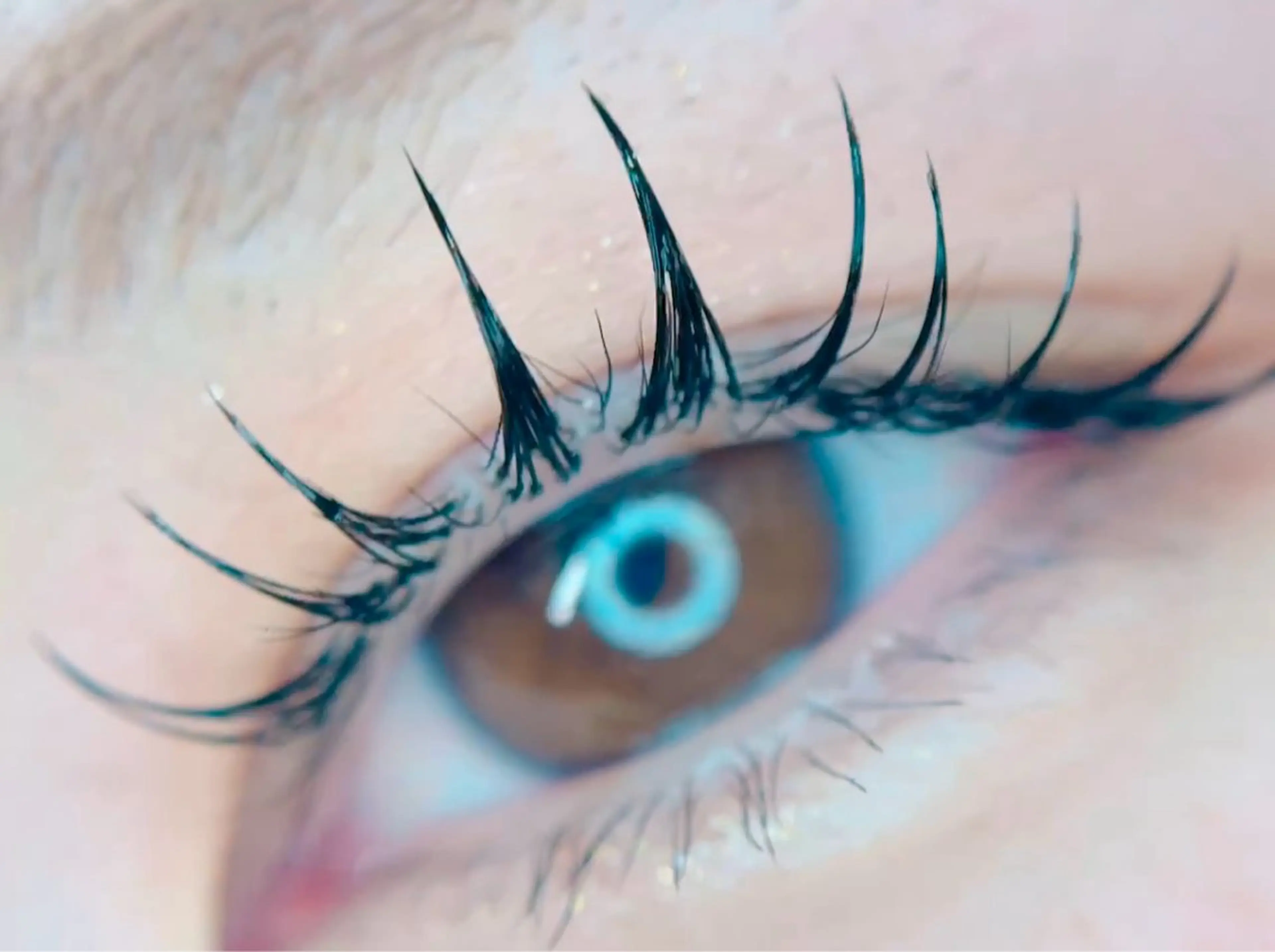 エクパ(エクステ120本＋LUSHLIFT)の写真