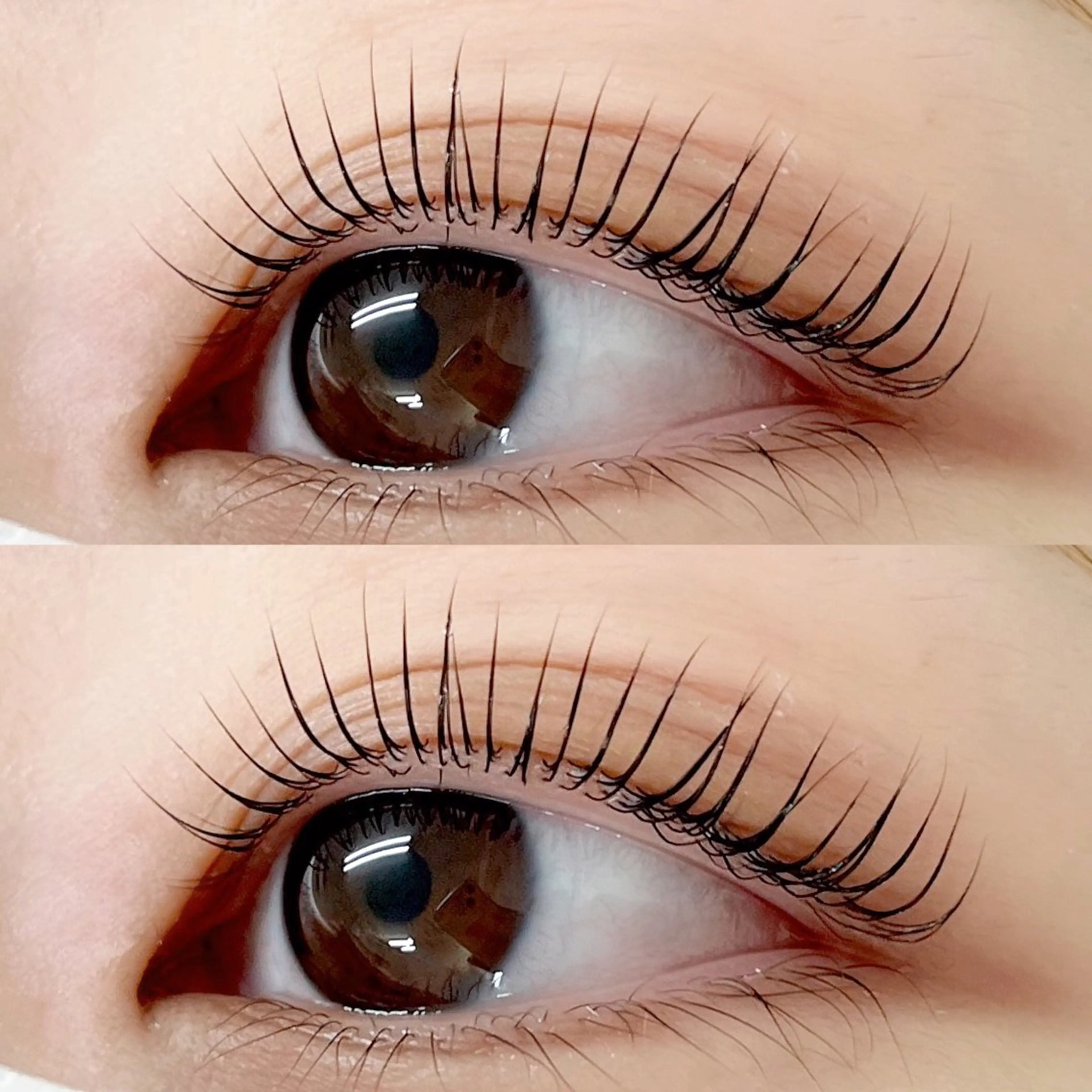 ⭐ミニモ限定ご新規様価格⭐トリートメント.アイシャンプー付き♡似合わせパリジェンヌ🕊️🤍※オフあり＋1500円！の写真