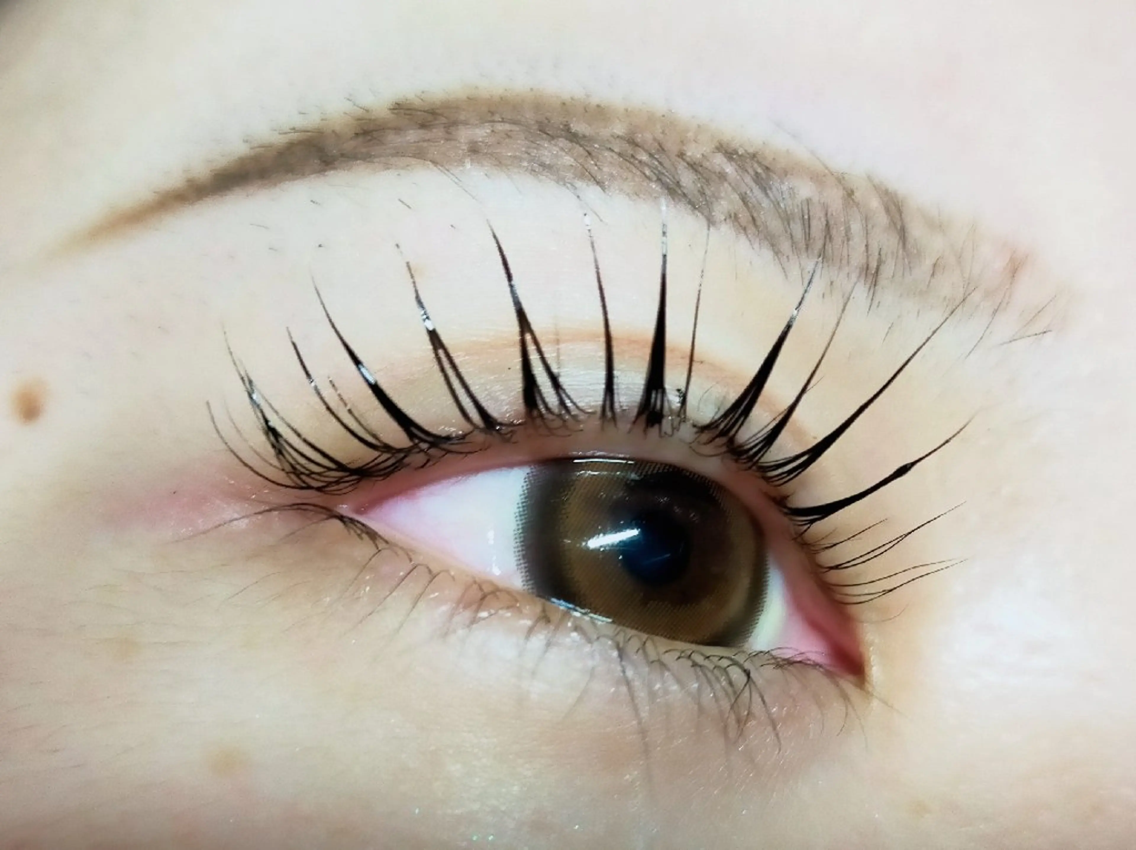 💕ティント付き　まつ毛パーマ　トリートメント＆コーティング付き💕の写真