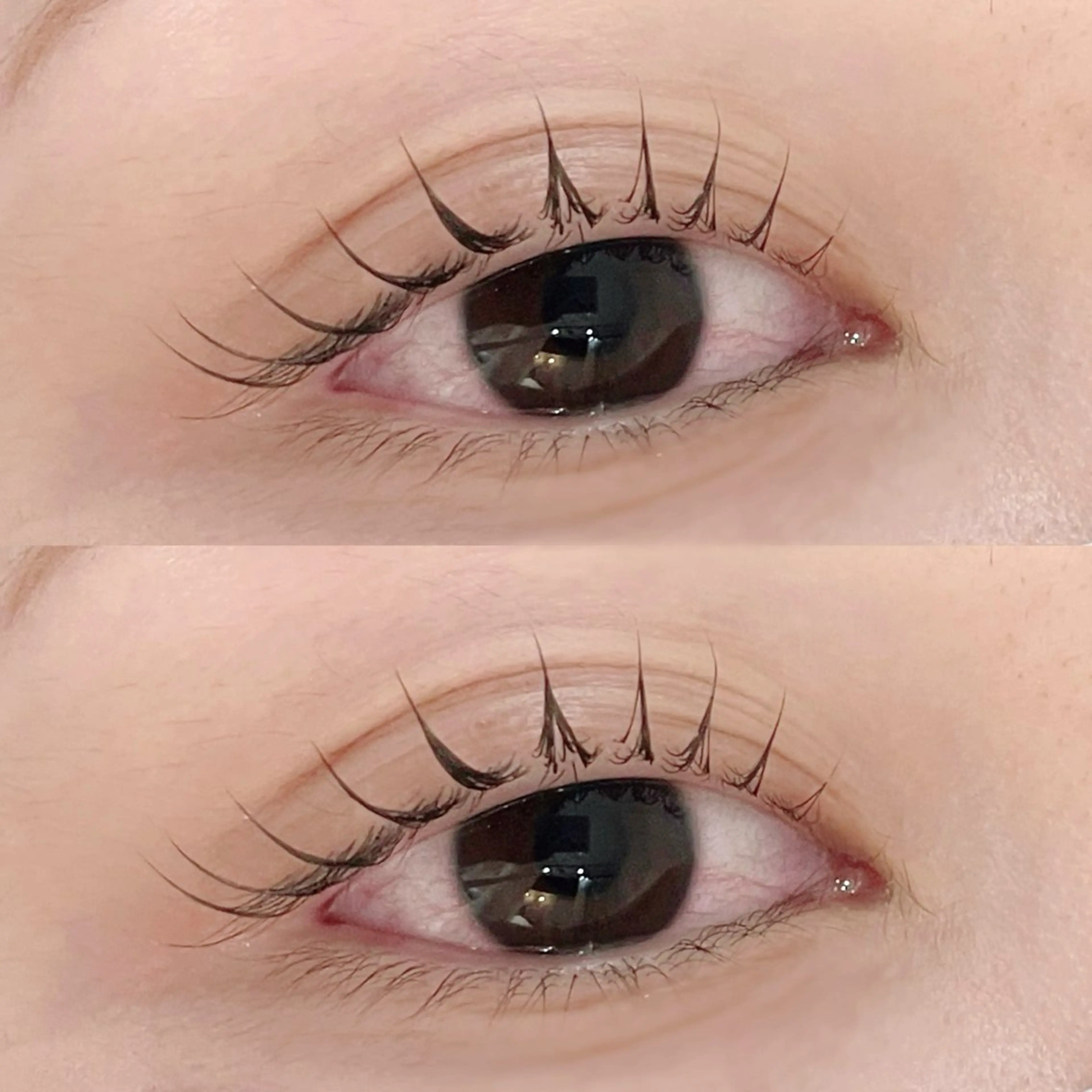 マツエク・マツパ パリジェンヌラッシュリフト マツパ riche eye_ aya🪞のマツエク・マツパデザイン