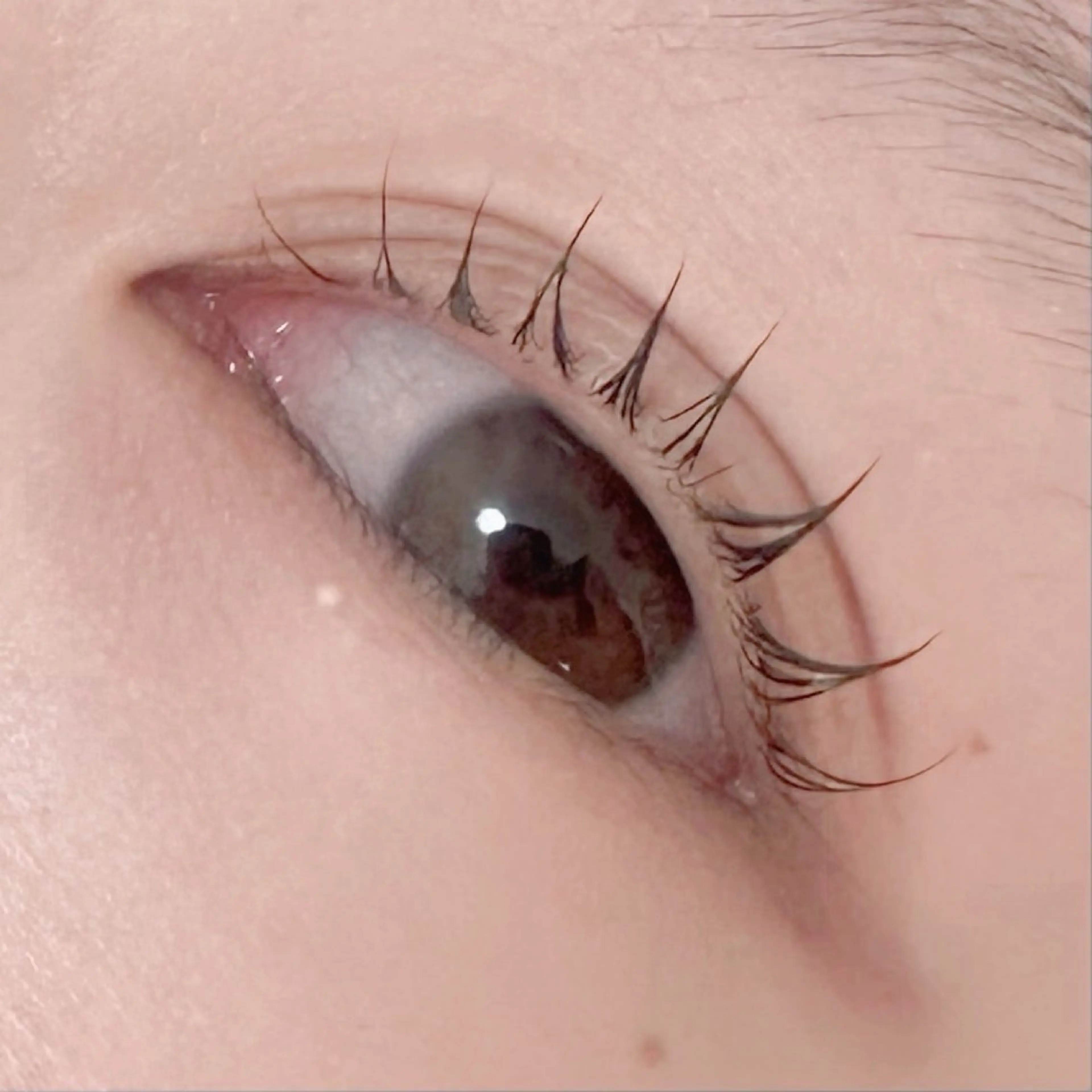 マツエク・マツパ ナチュラル マツパ Le'a永山 綾華のマツエク・マツパデザイン