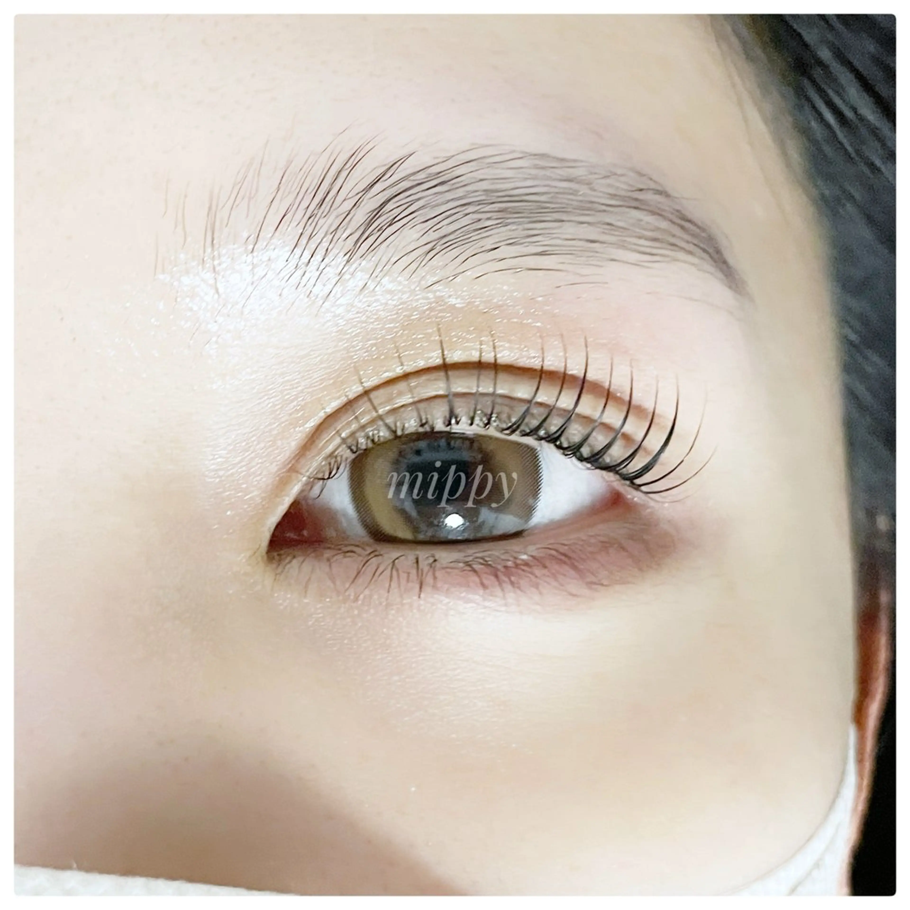 マツエク・マツパ ｍｉｐｐｙ 🪽のマツエク・マツパデザイン