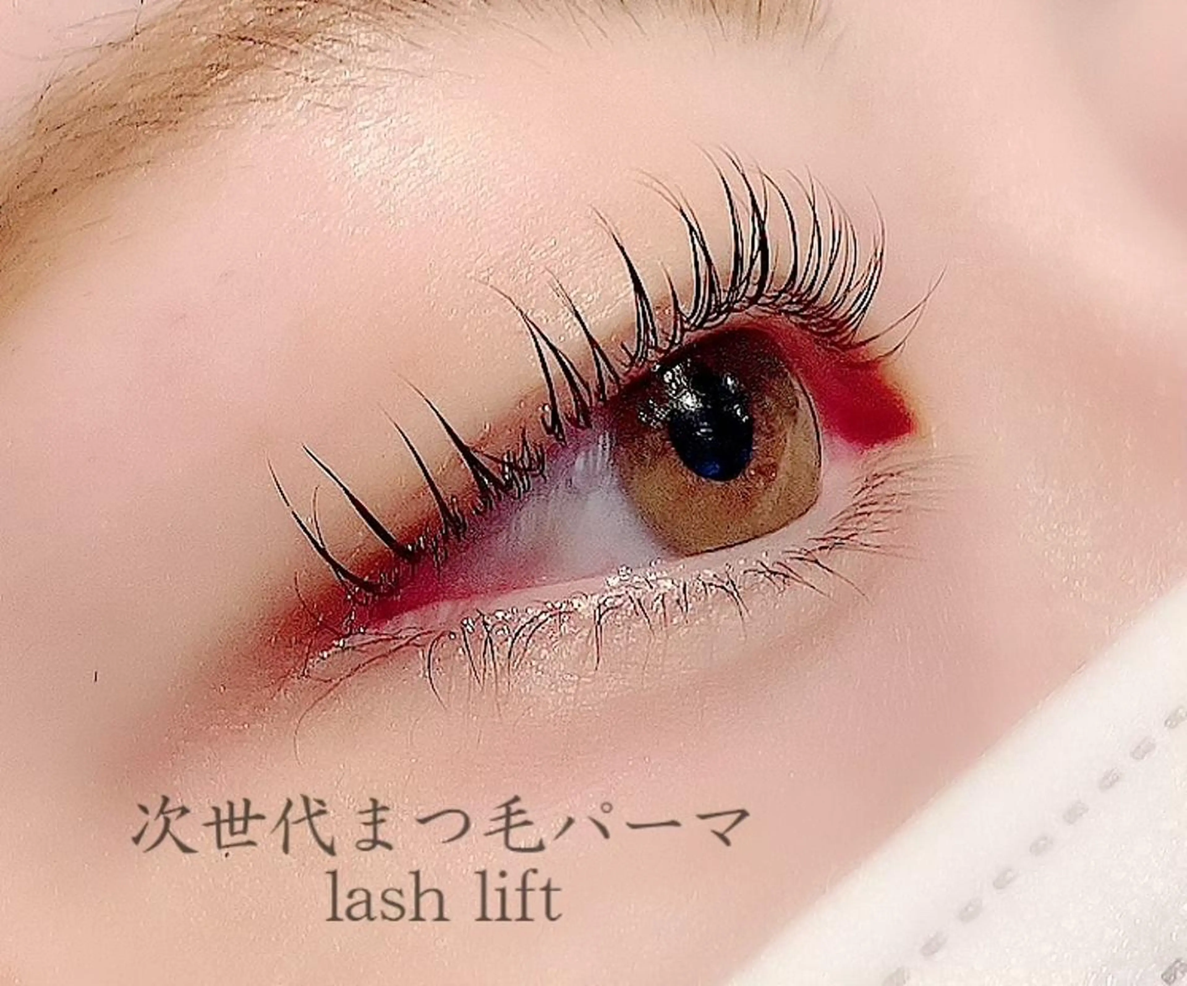 マツエク・マツパ RIGOLETTO 🤍吉成愛華のマツエク・マツパデザイン