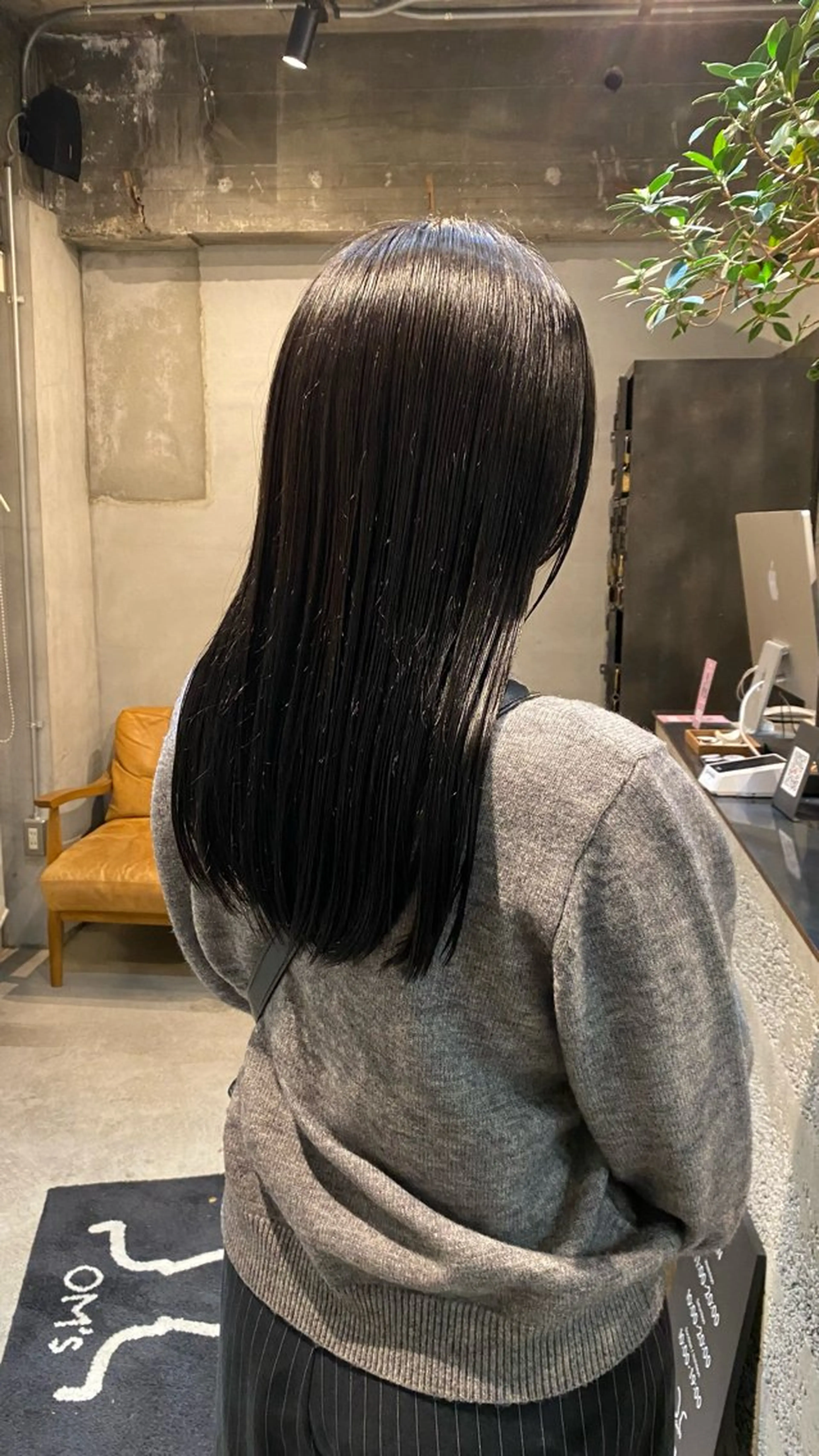 ミディアム カラー 黒髪 透明感カラー ダークグレー ダークグレージュ グレージュ ヘアカラー 佐々木 蓮のヘアスタイル