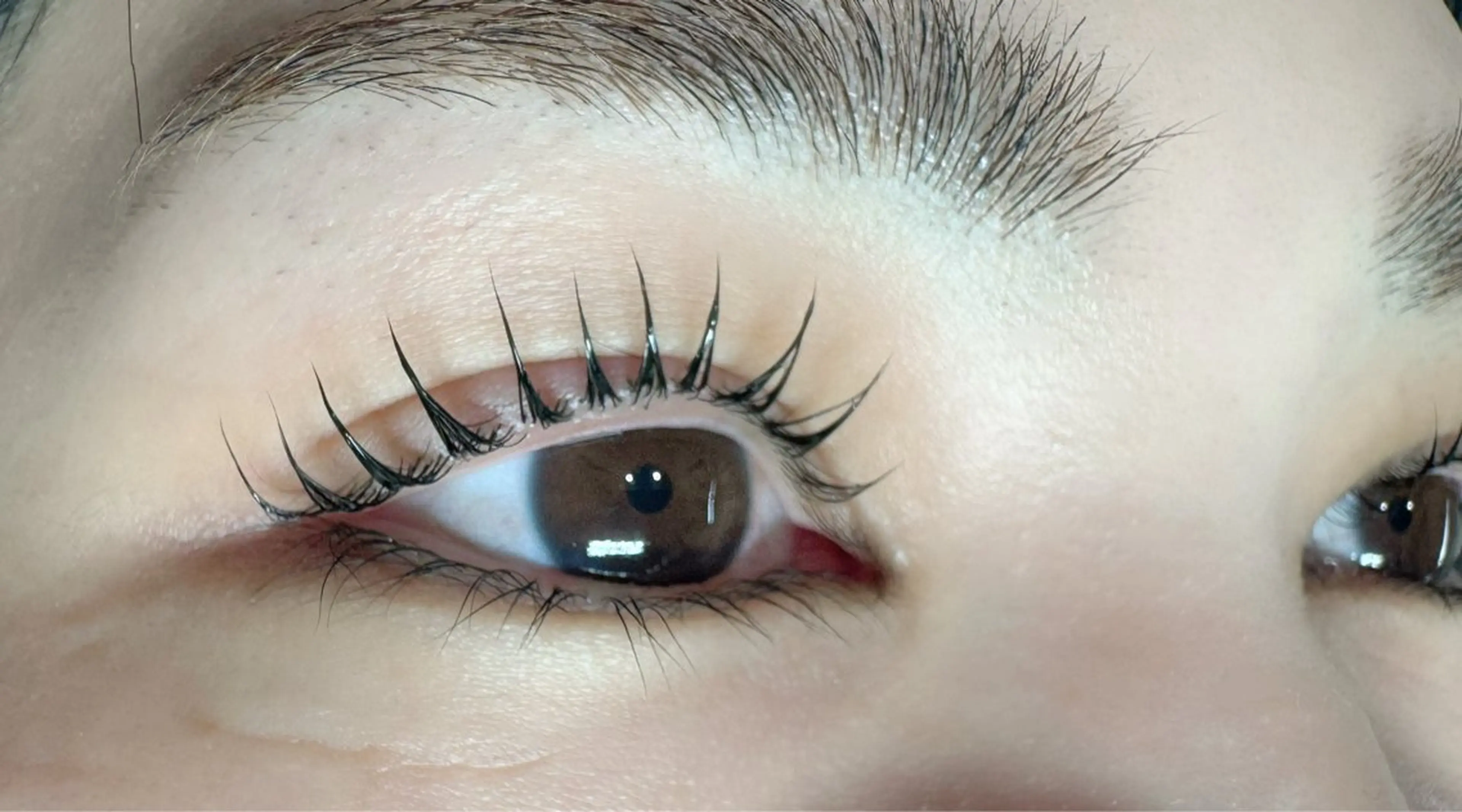 マツエク・マツパ 韓国風マツエク まつげパーマ マツパ gioia KIMのマツエク・マツパデザイン