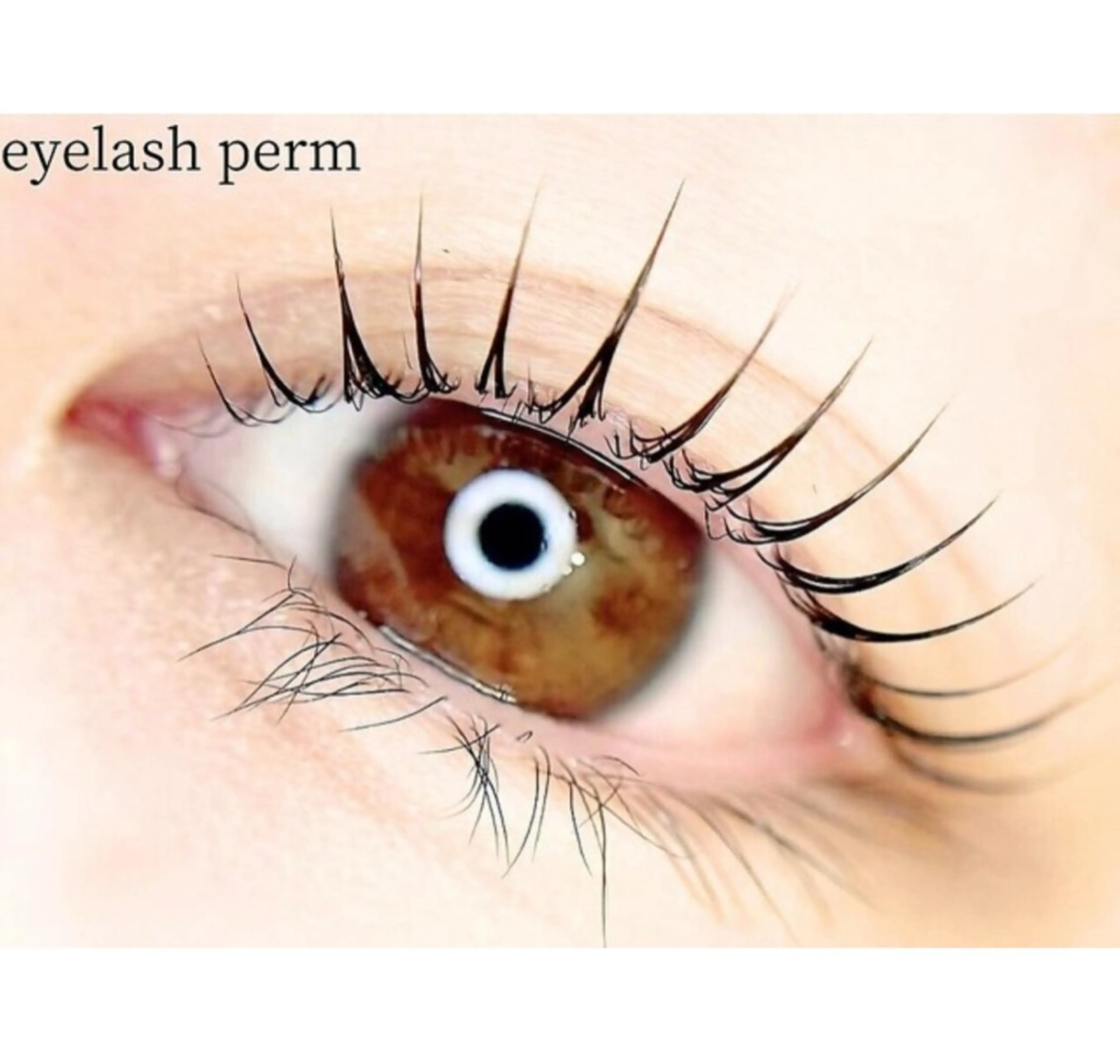 【平日限定】ラッシュリフト(パリジェンヌ可) コーティング付き⭐️現金PayPay使用不可の写真