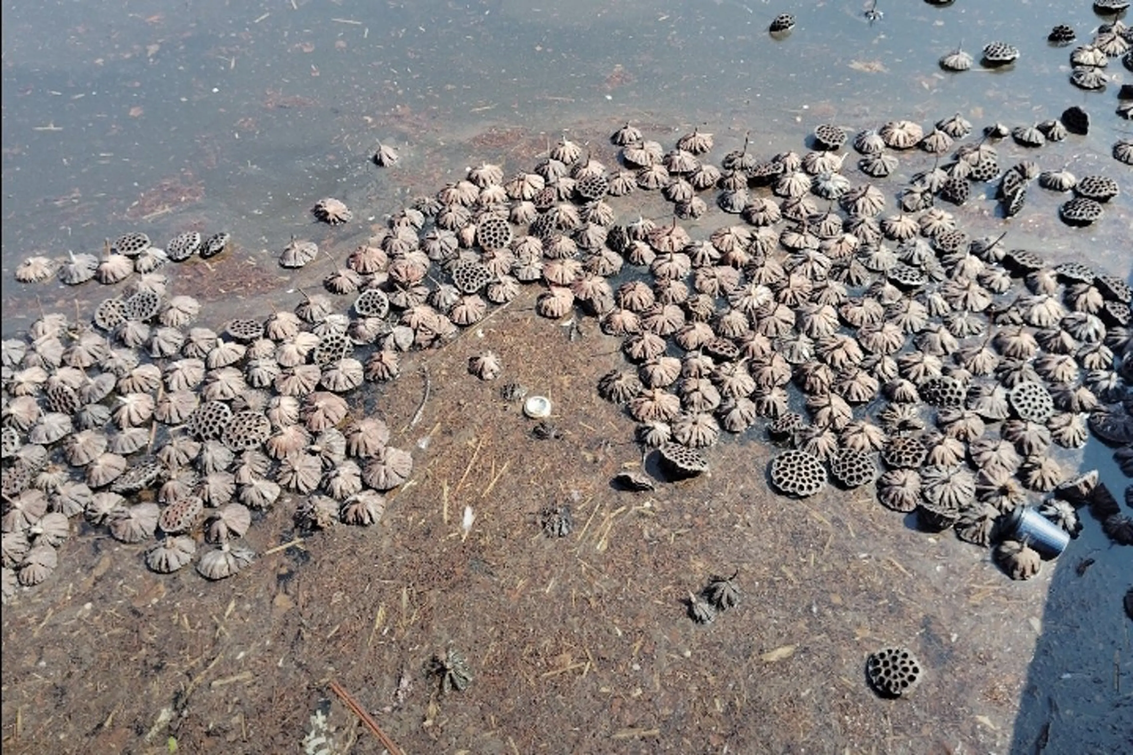 千の樹所属・久保・女性専用 美咲のエステ・リラクイメージ