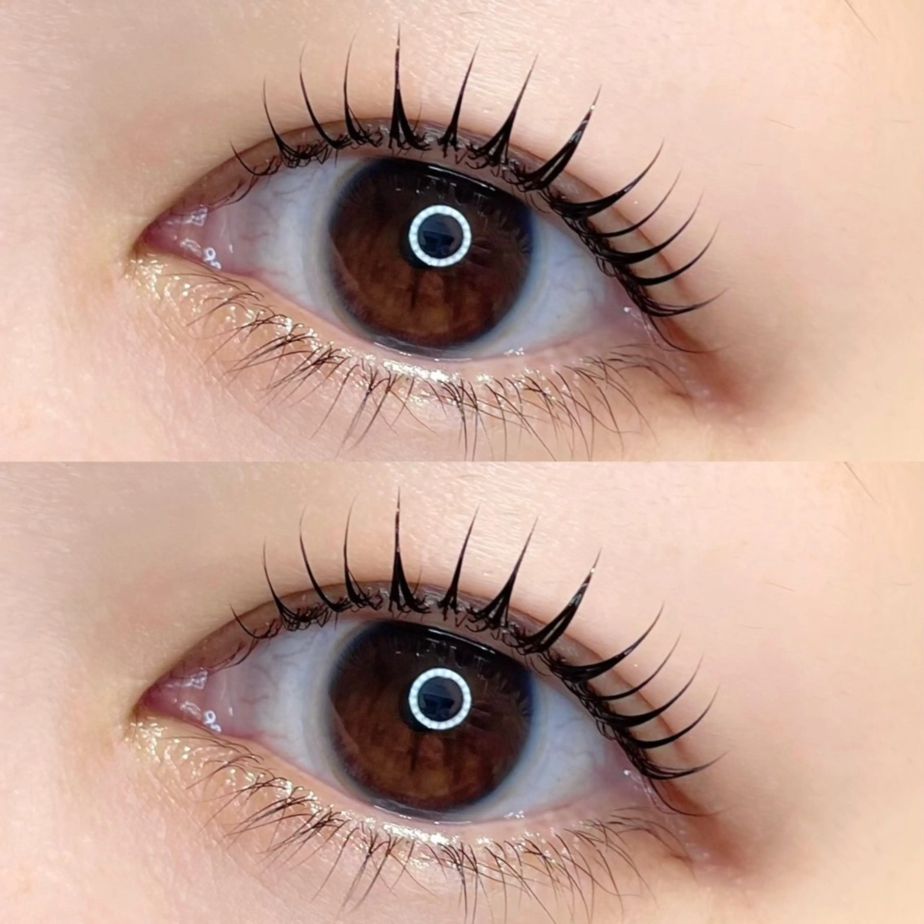 【期間限定】まつ毛パーマ🧸ྀི(上下)選べるデザイン🕊𓈒𓏸︎︎︎︎の写真