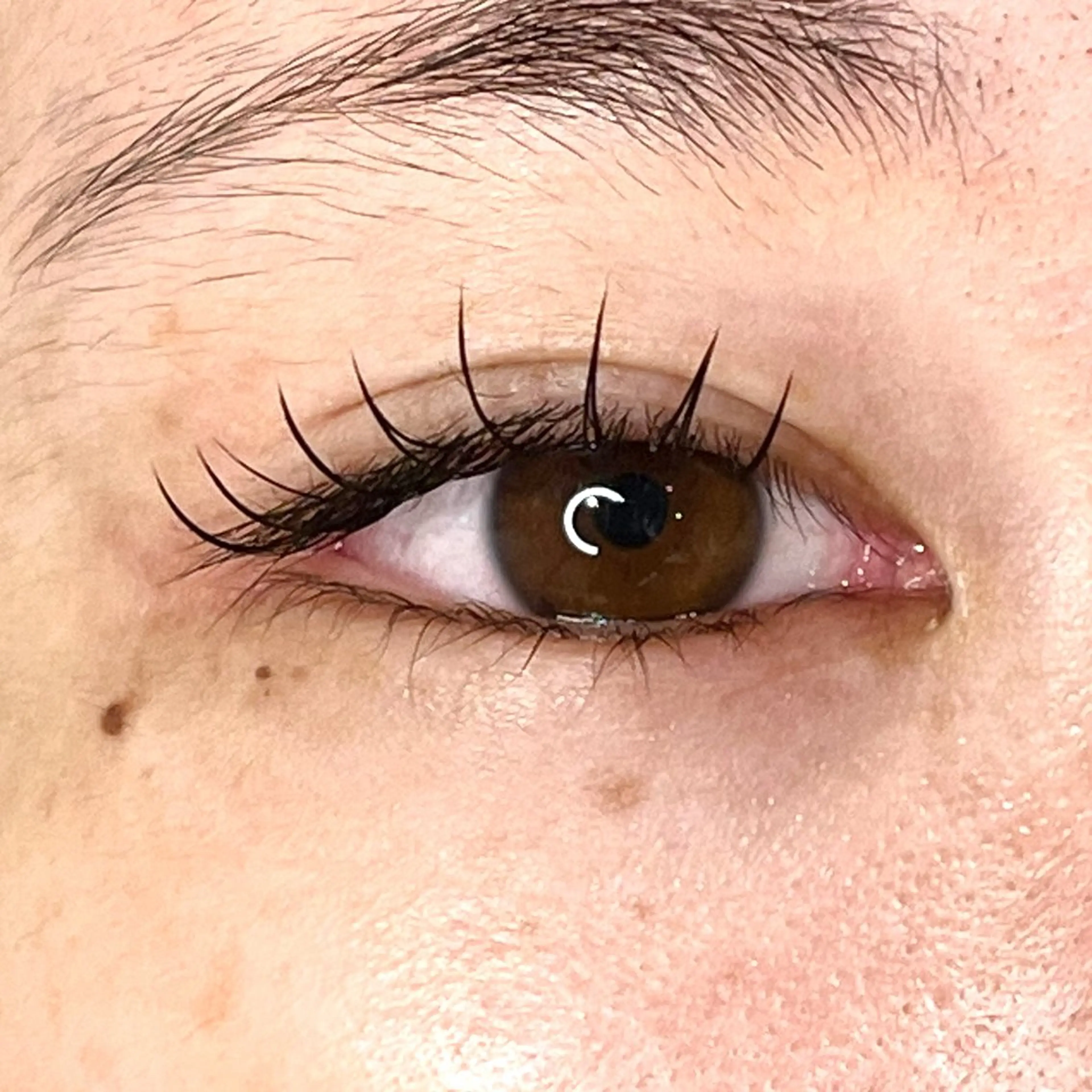 マツエク・マツパ 束感まつ毛 Cカール narumi .のマツエク・マツパデザイン