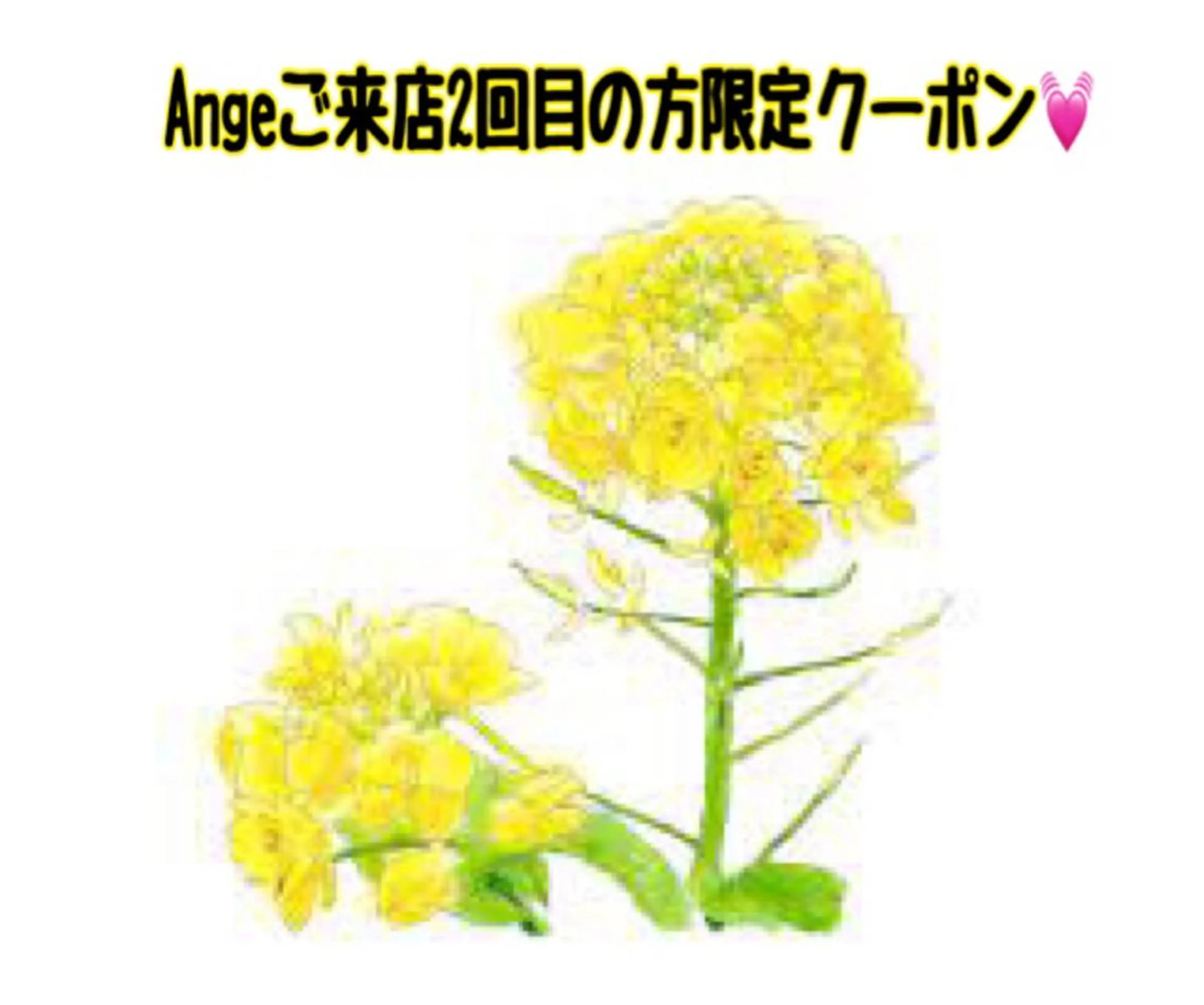 Ange -viva la vida-所属・Esthesalon -Ange-のエステ・リラクイメージ