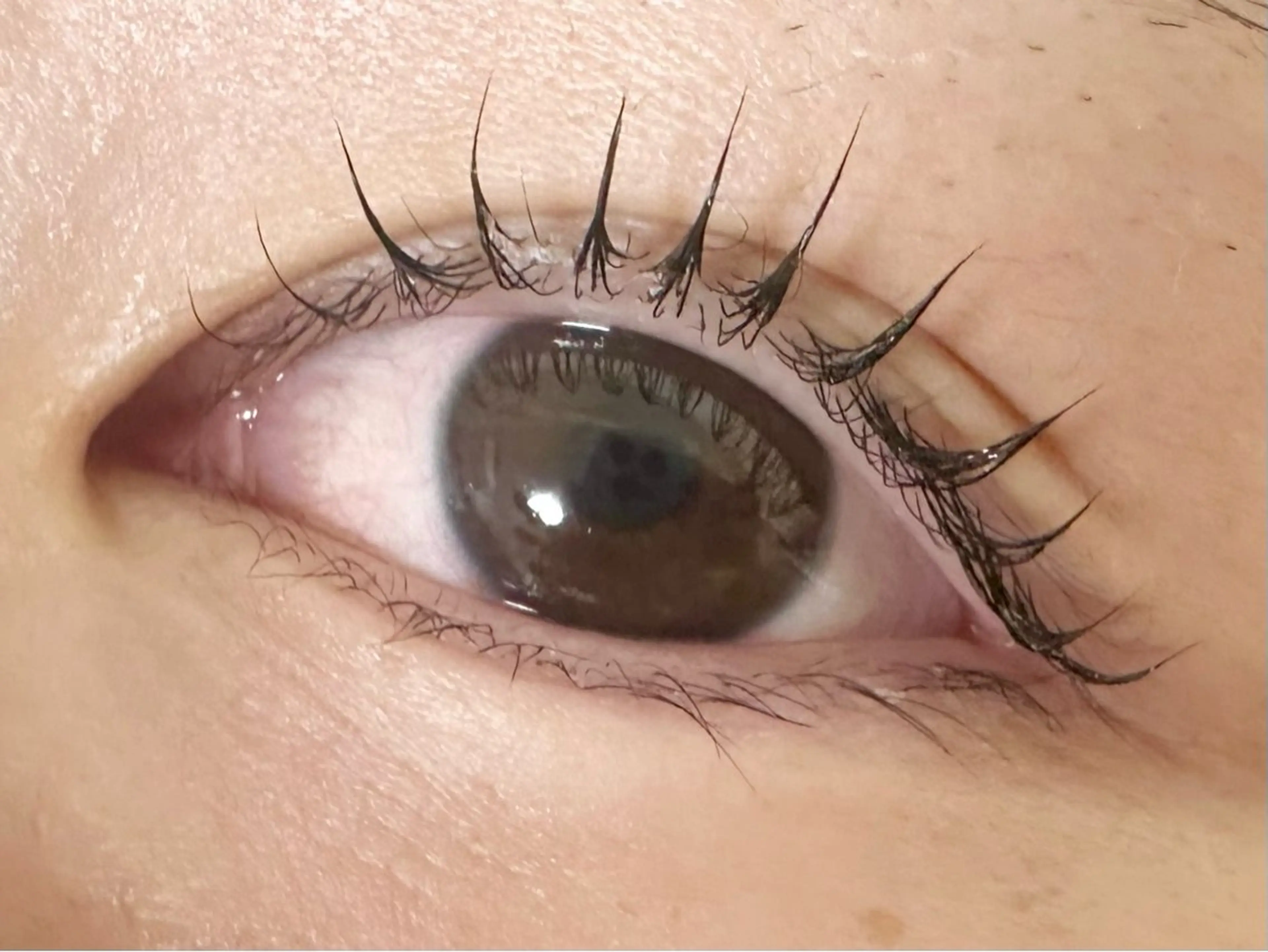 パーマ S+ Studioのマツエク・マツパデザイン