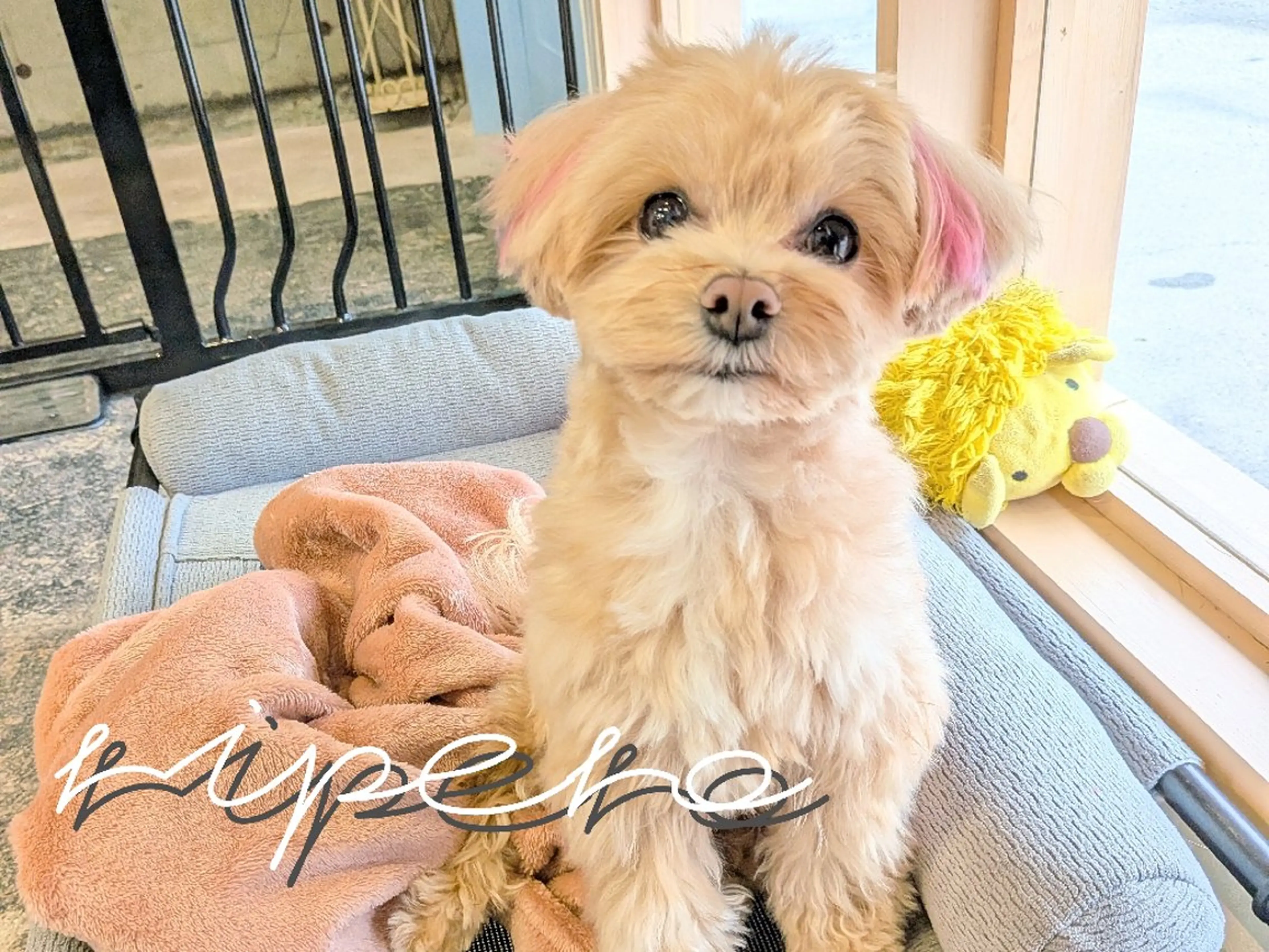 ripero所属・ripero   のエステ・リラクイメージ