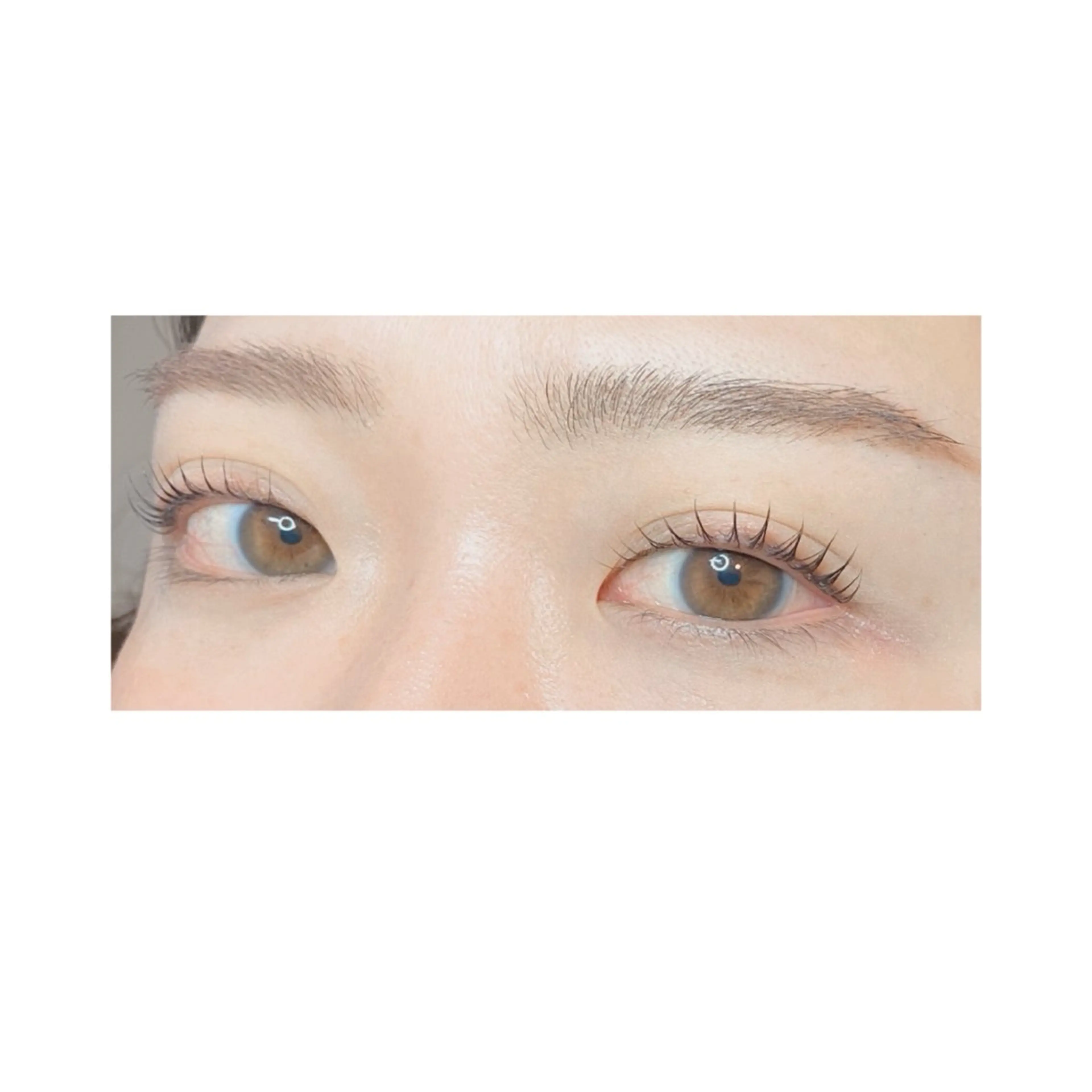 《9月限定クーポン》選べる似合わせまつ毛パーマ🌿アフタートリートメント付き【上まつ毛のみ】の写真